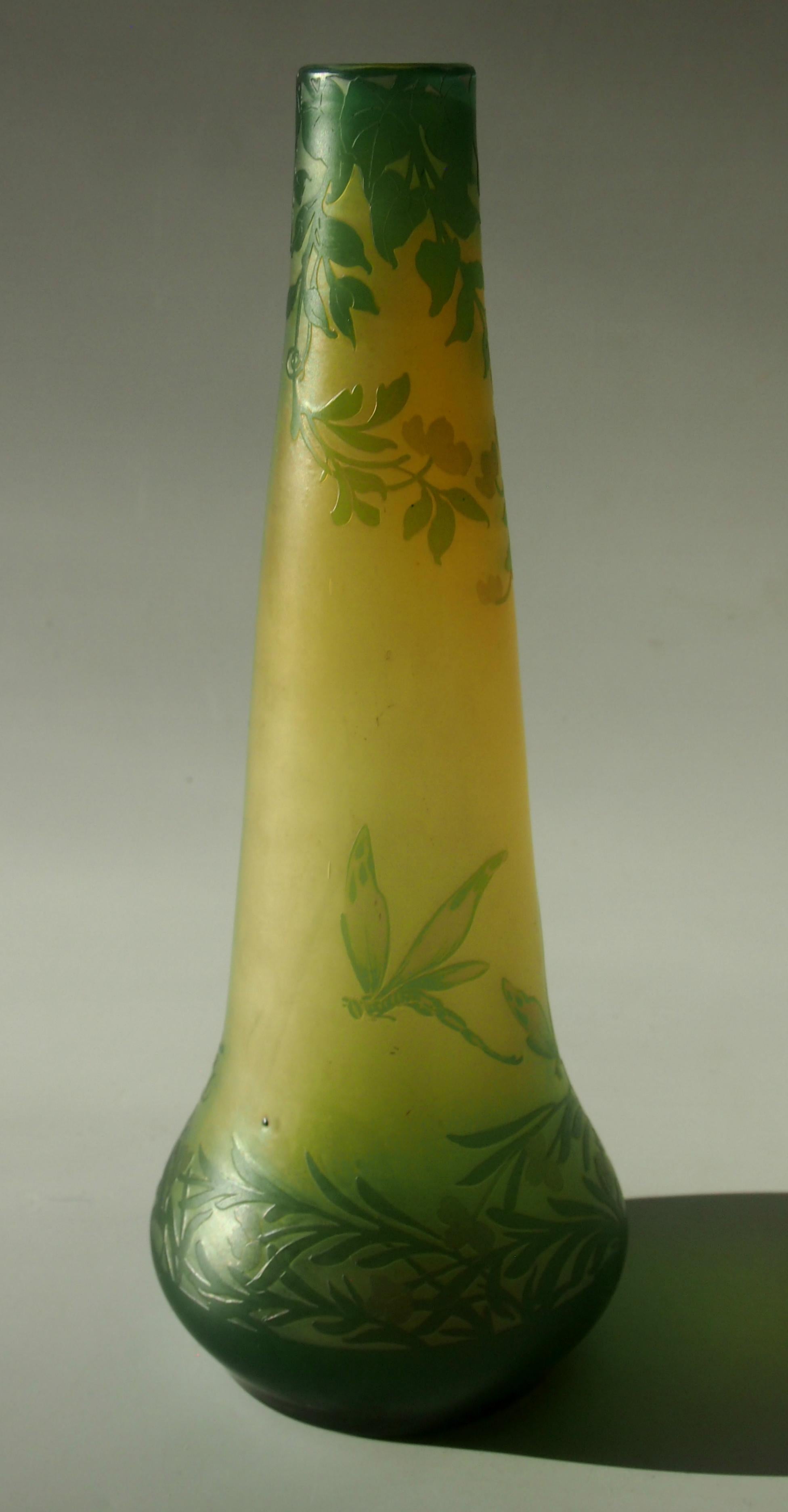 Early 20th Century French Art Nouveau DeVez Dragonfly Cameo Glass Vase For Sale
