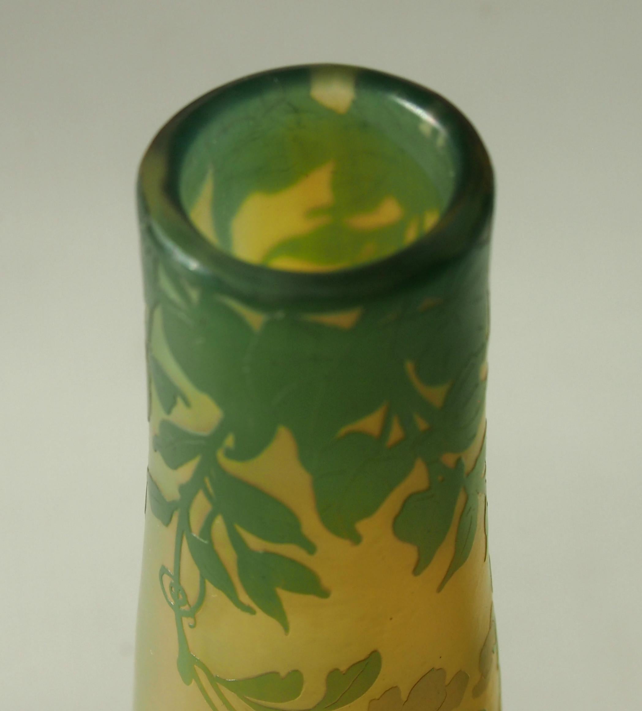 Art Glass French Art Nouveau DeVez Dragonfly Cameo Glass Vase For Sale