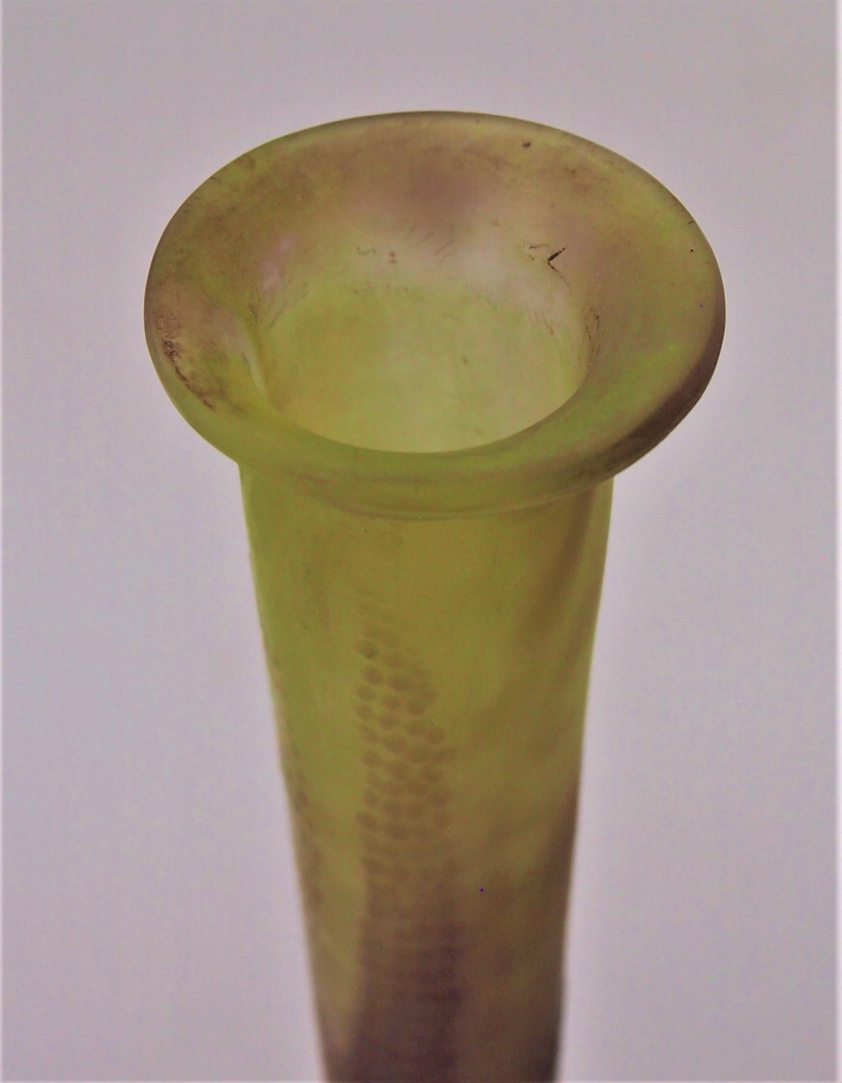 French Art Nouveau Emile Galle Cameo Glass Tall Botanical Banjo Vase, circa 1908 For Sale 1