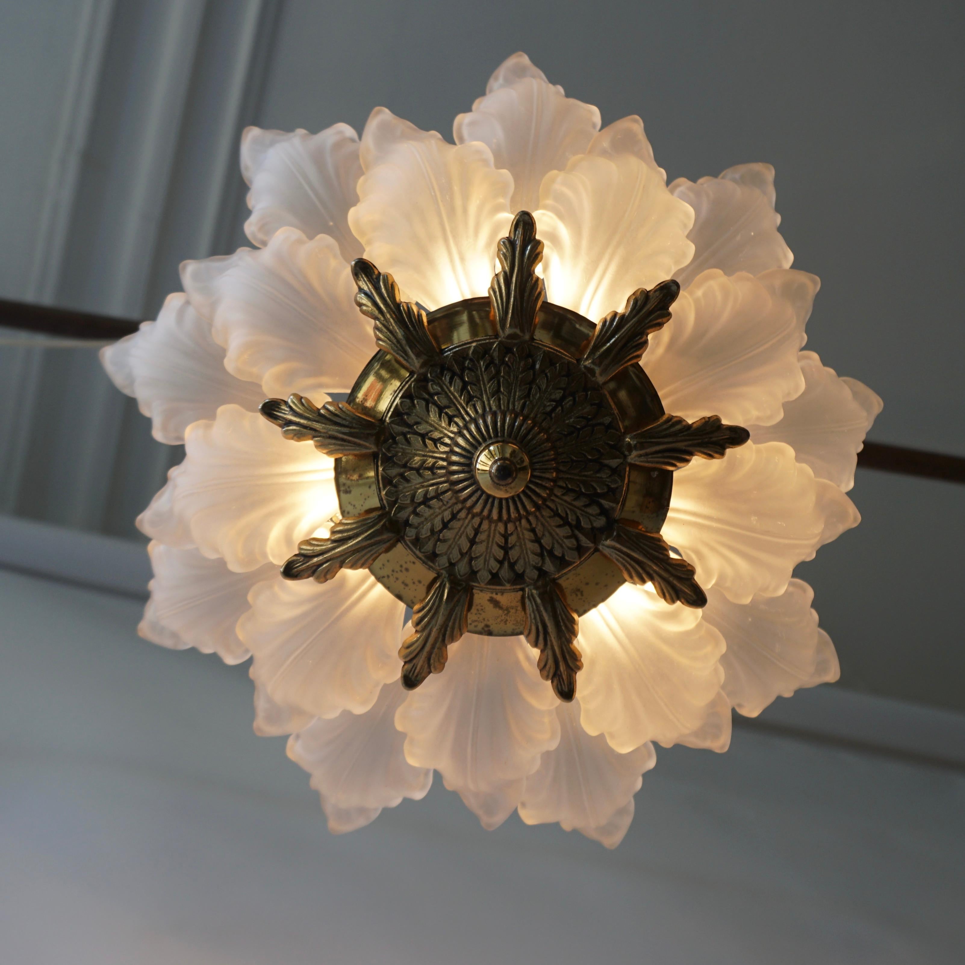 Art Nouveau style chandelier or flush mount - wall light with petal or shell shaped frosted glass and leaf design.

The light requires three single E27 screw fit lightbulbs (60Watt max.) LED compatible.

Measures: 
Diameter 39 cm 
Height 22