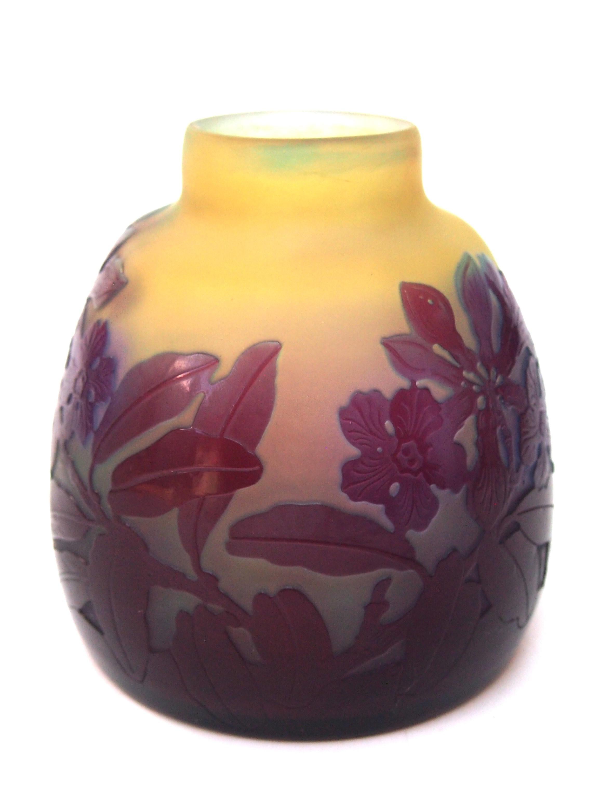 French Art Nouveau Emile Gallé cameo vase depicting Flowering primula in purple and blue over orange/yellow, with fine internal polishing to highlight the blue in the flowers -where the internal polishing has not been done the leaves and buds appear