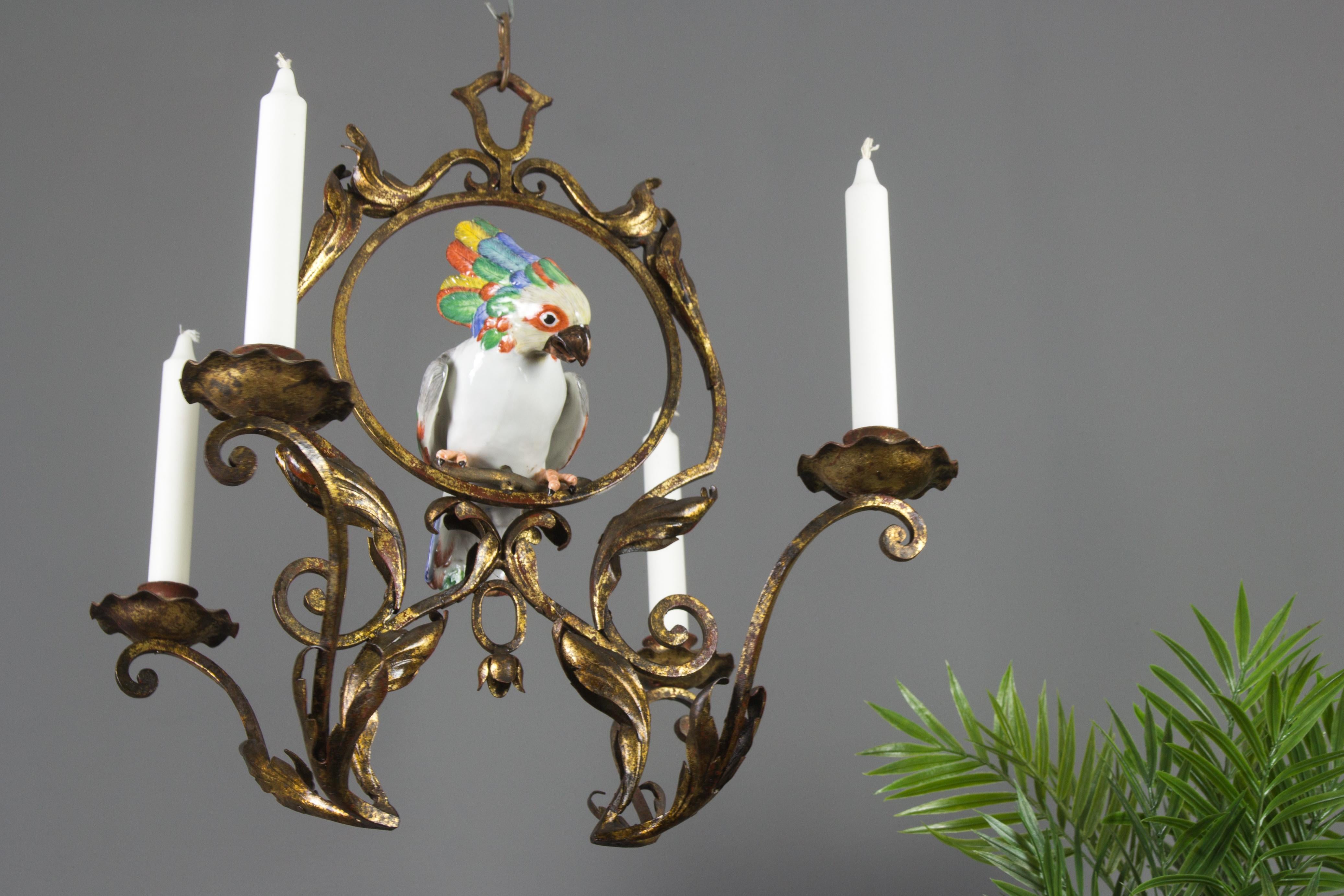 This adorable French Art Nouveau style wrought iron candle chandelier features four arms or candleholders with beautifully shaped details toned in golden color and centered with an impressive colorful porcelain parrot figurine.
Dimensions: Height 45