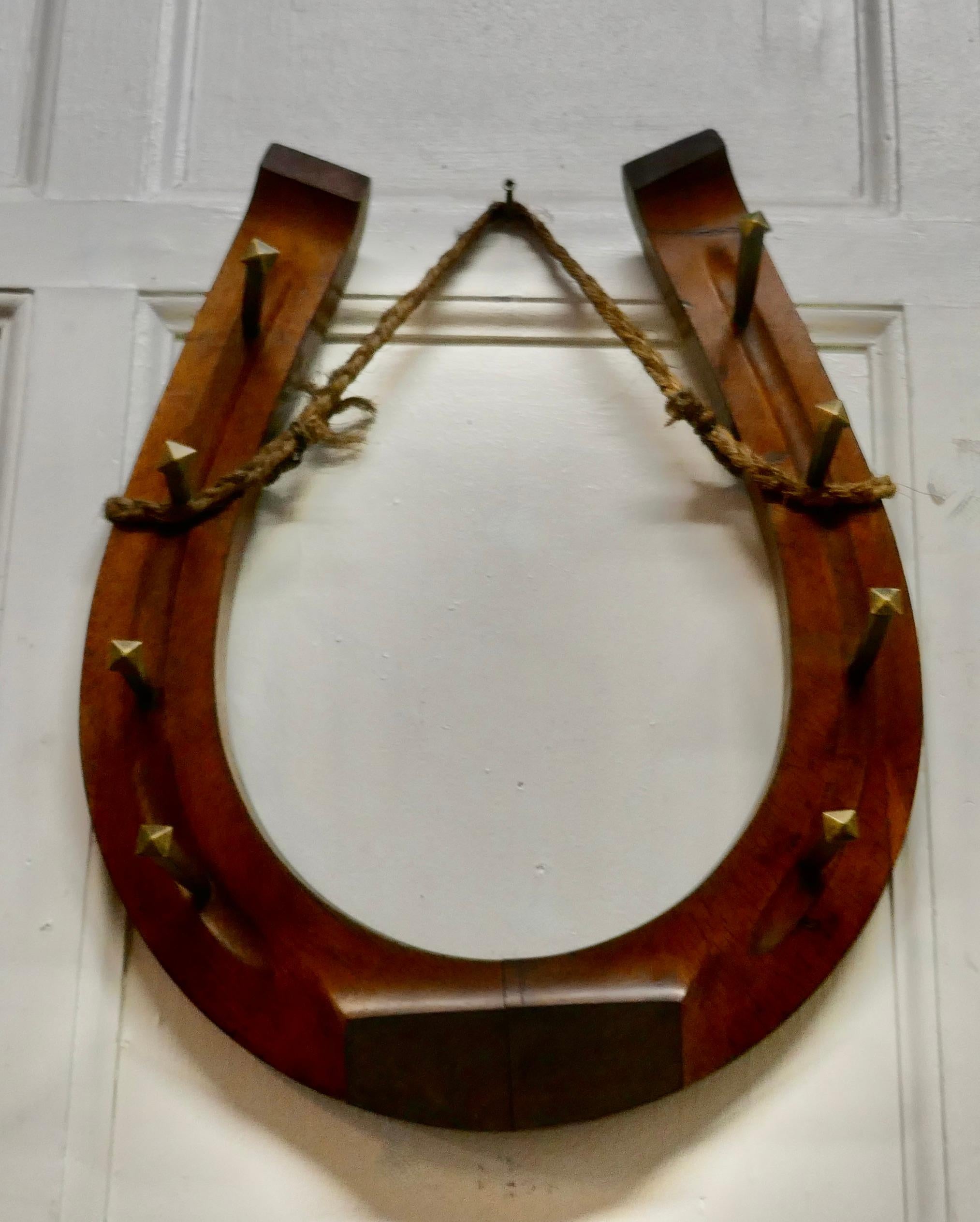 horseshoe wall hooks