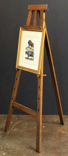 French Artist's or Display Easel of Oak
