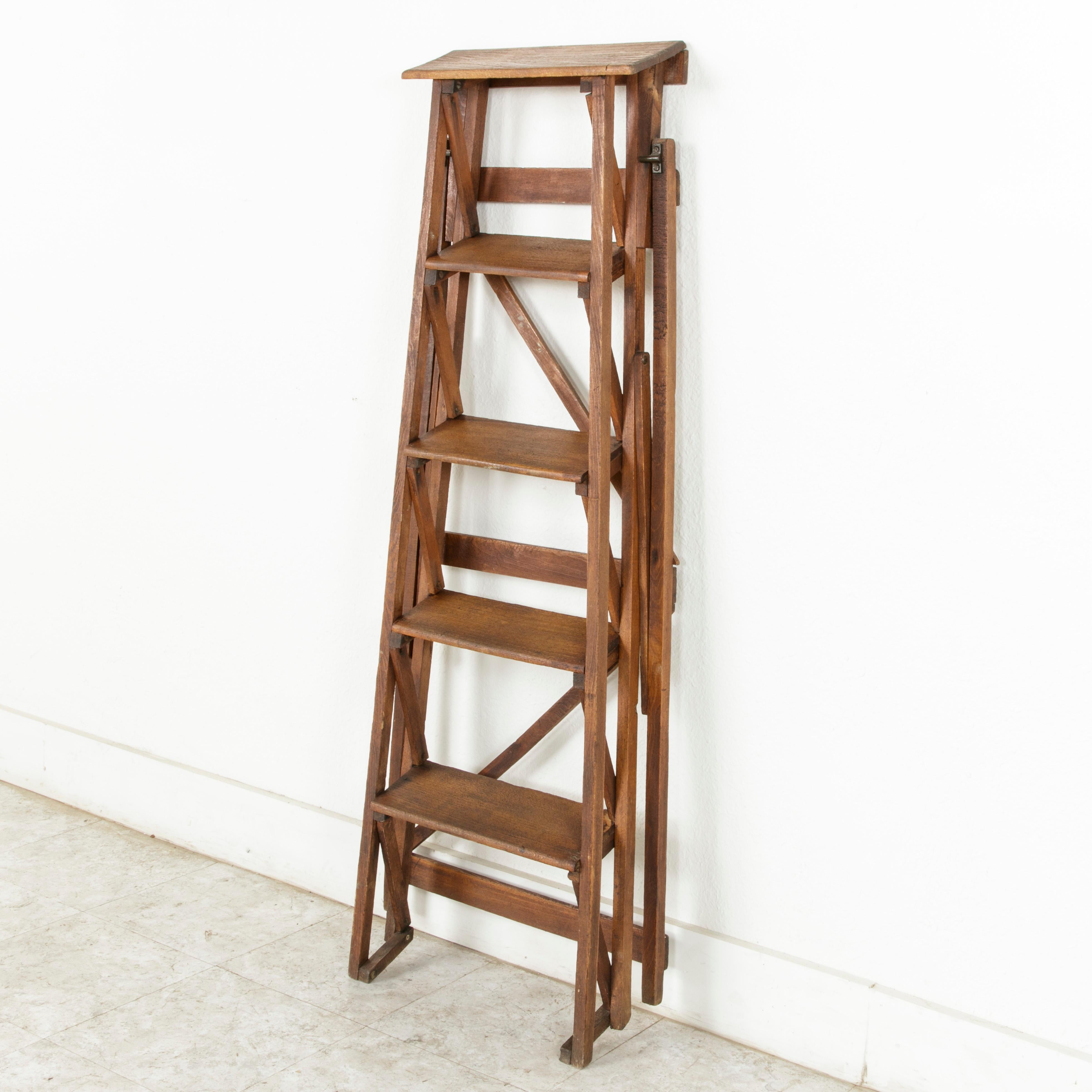 French Ash Library Ladder or Shelves with Five Steps, circa 1900 2
