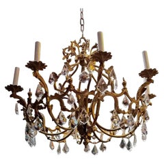 French Belle Epoque 8-Light Chandelier, Early 1900s