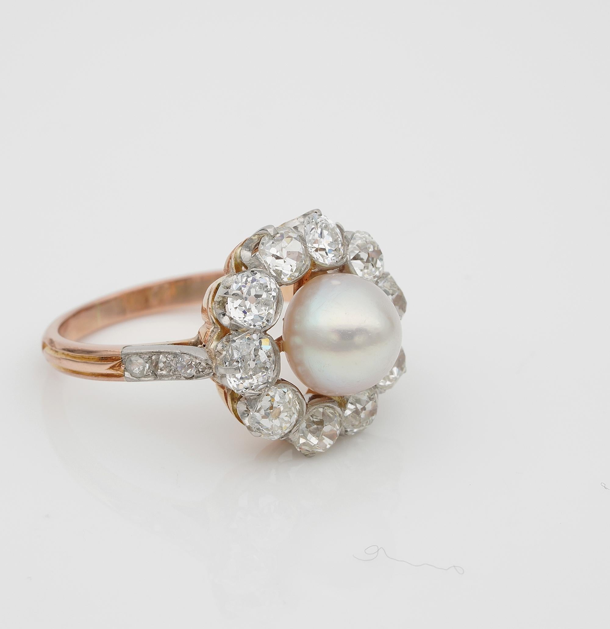 Old Mine Cut French Belle Époque Natural Salt Water Pearl 2.60 Ct G VVS Diamond Cluster Ring For Sale