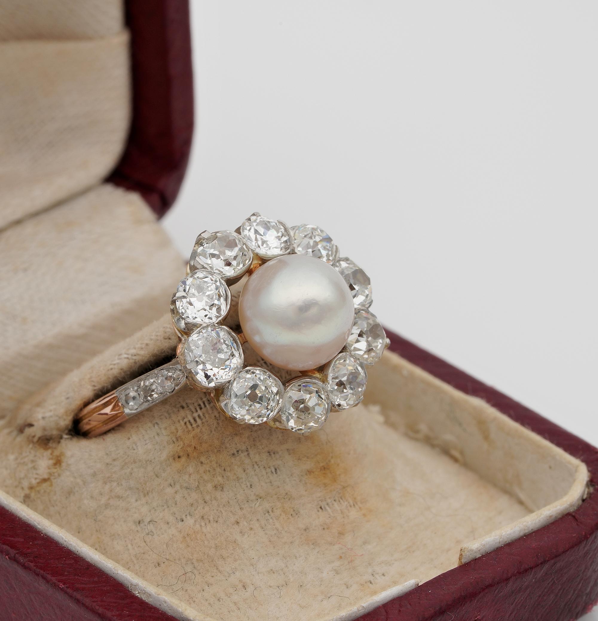 French Belle Époque Natural Salt Water Pearl 2.60 Ct G VVS Diamond Cluster Ring In Good Condition For Sale In Napoli, IT