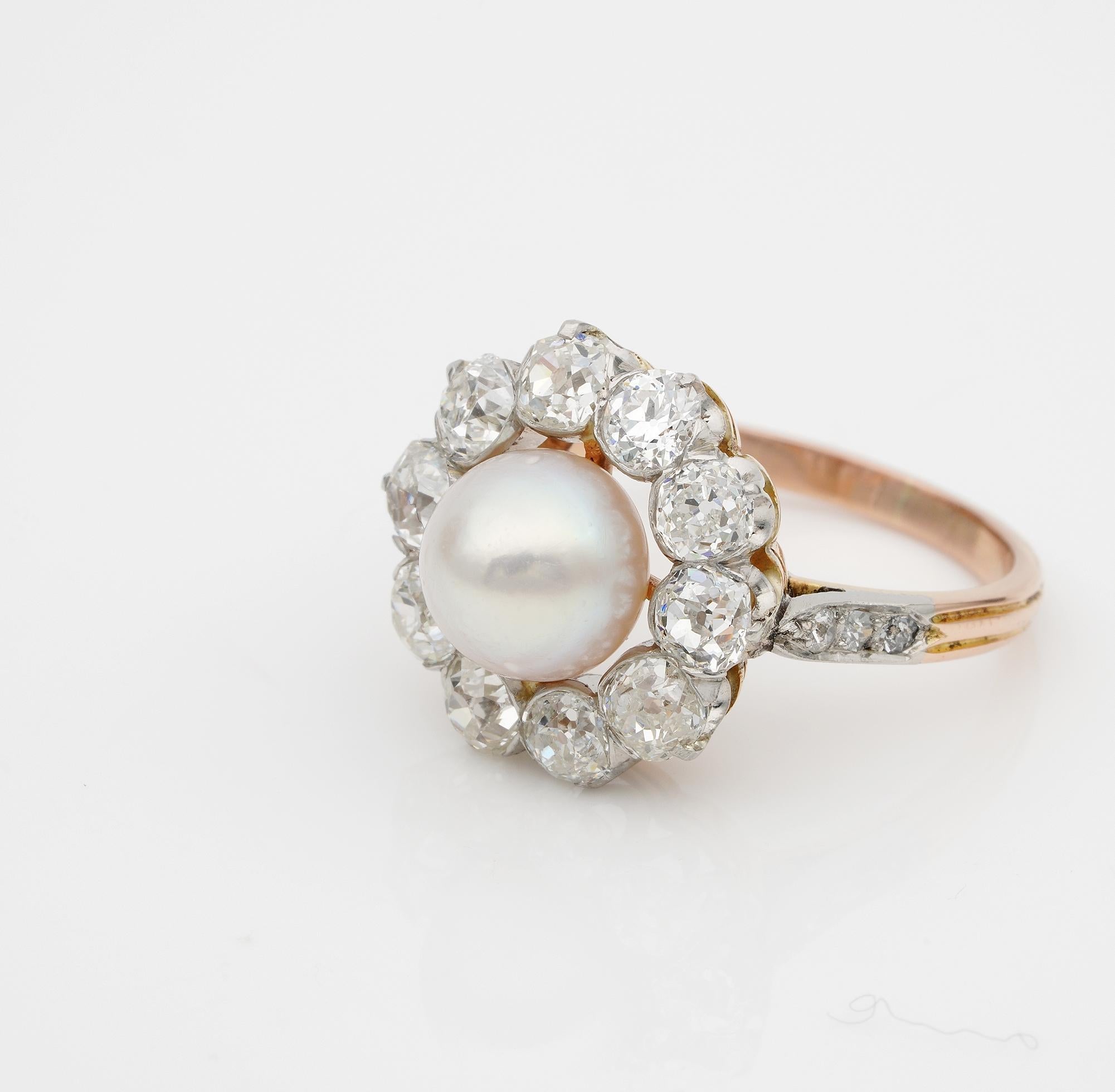 Women's French Belle Époque Natural Salt Water Pearl 2.60 Ct G VVS Diamond Cluster Ring For Sale