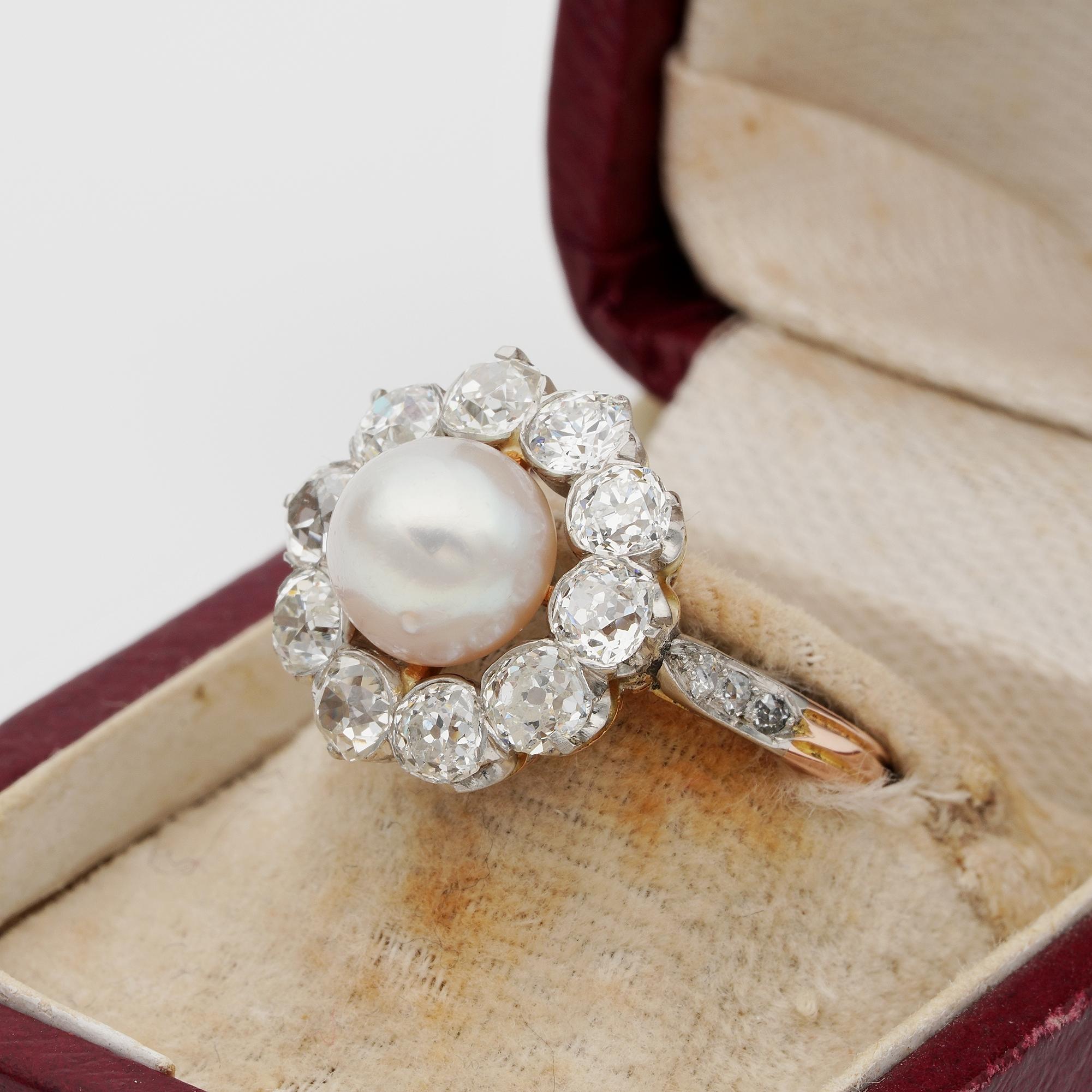 French Belle Époque Natural Salt Water Pearl 2.60 Ct G VVS Diamond Cluster Ring For Sale 1