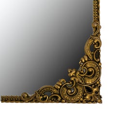 French Beveled Mirror with Brass Frame Arabesques Plants Decoration Midcentury