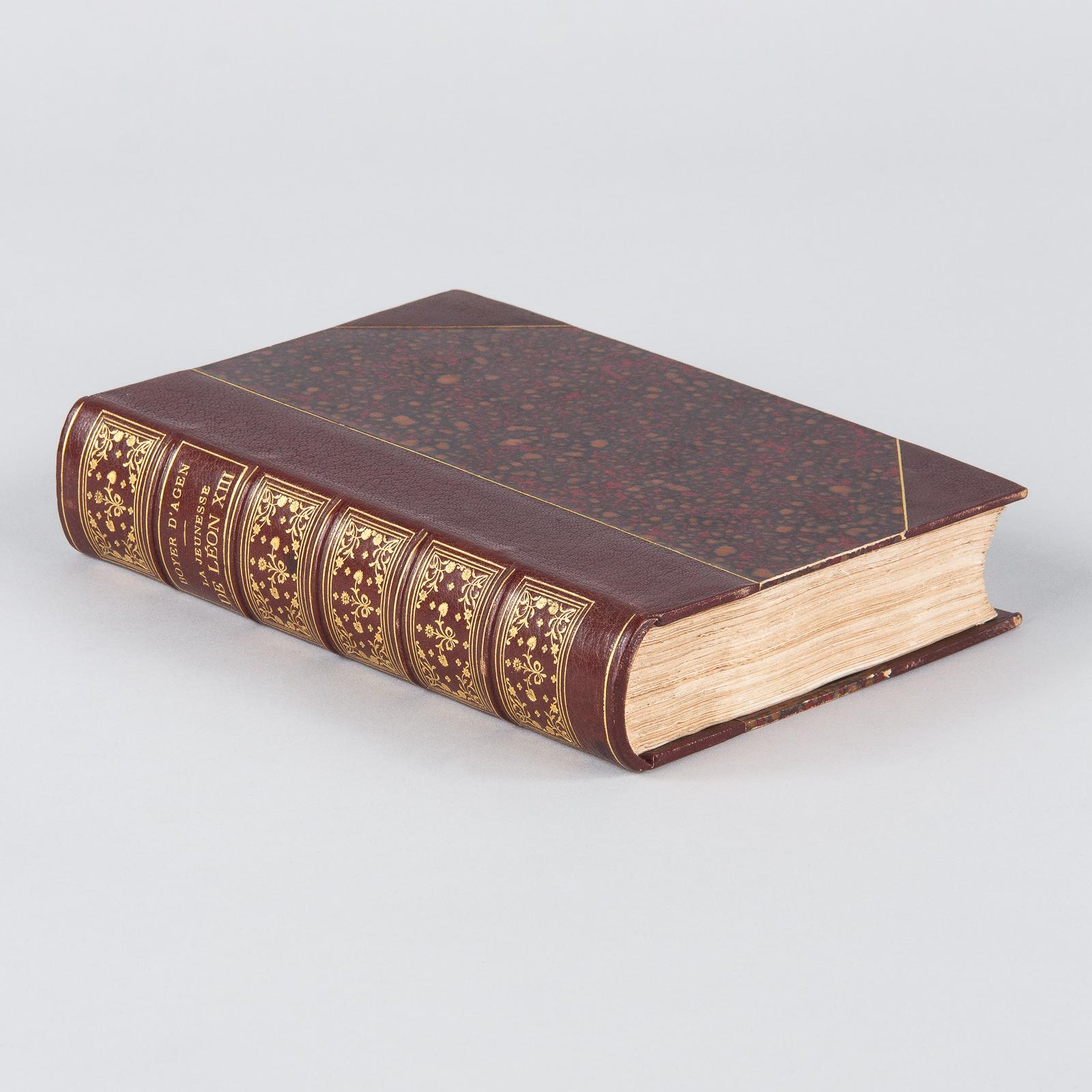 Leather French Book, La Jeunesse de Leon XIII by Boyer d'Agen, 1896