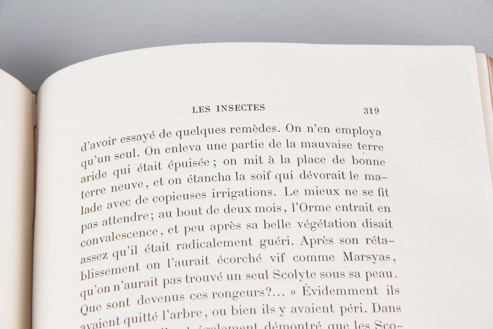 French Book, Nos Ennemis et Nos Allies by Arthur Mangin, 1870 11