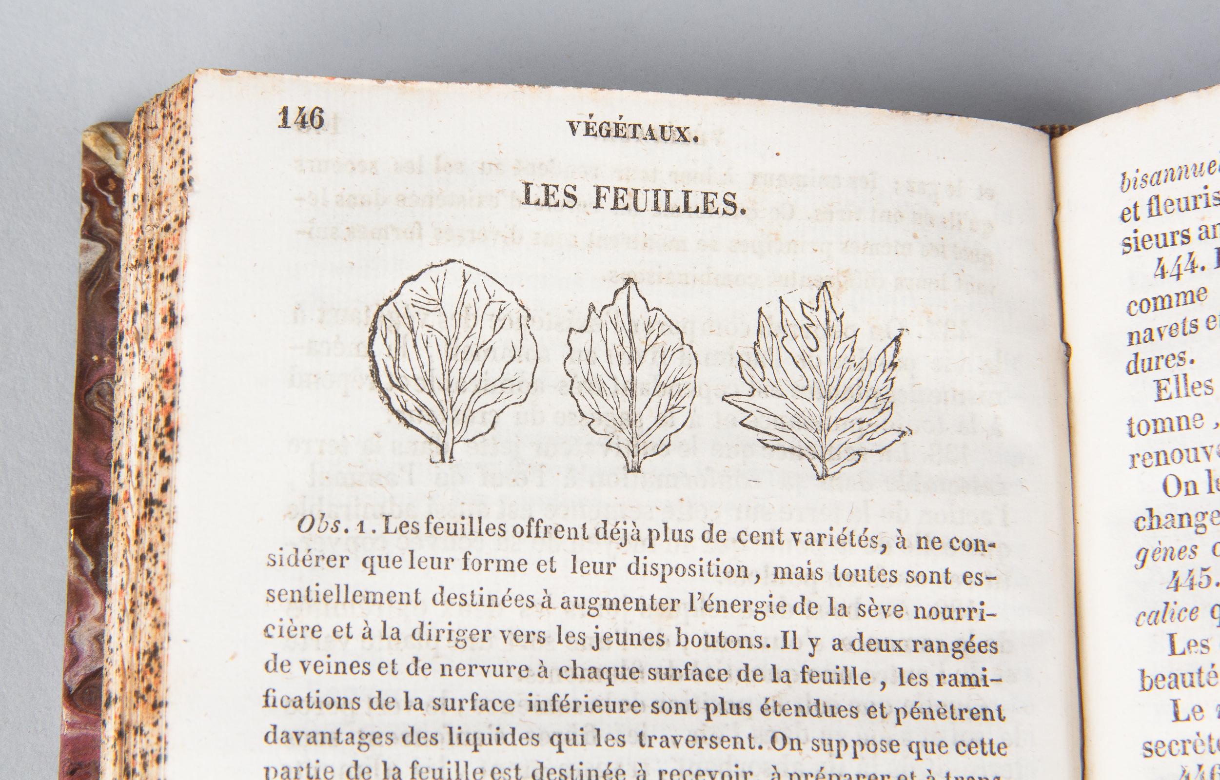 French Book Nouvelle Enclyclopedie, Resume des Sciences et Arts, 1834 4
