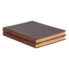 Antique French Books, L'Illustration, 2 Volumes, 1899