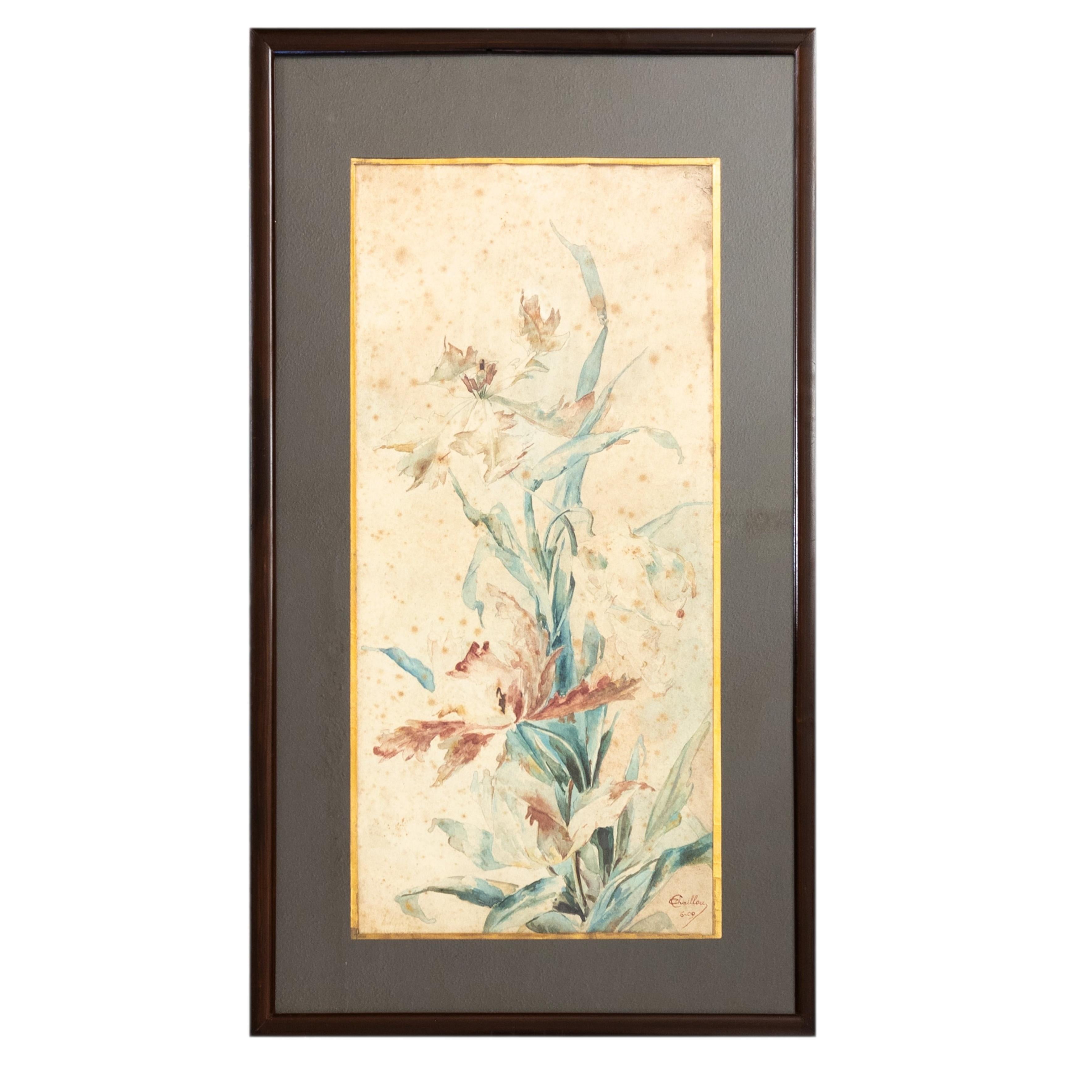 French Botanical Watercolor, 20th Century