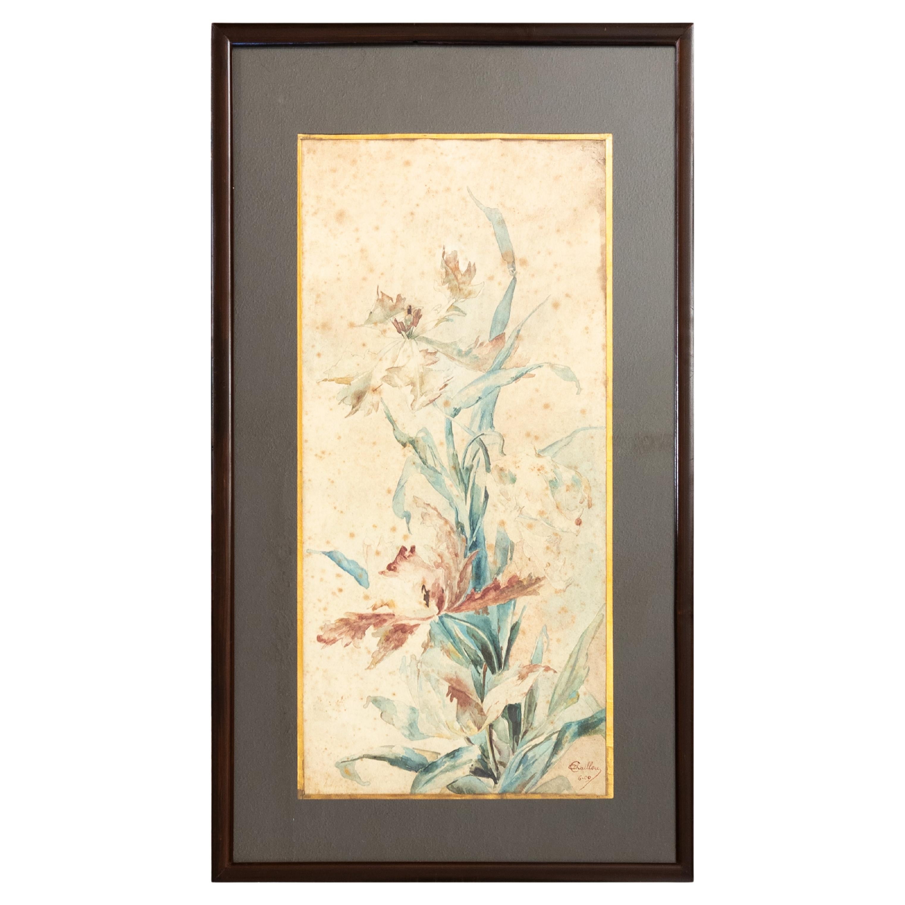 French Botany Watercolor Painting Dated 1909, Early 20th Century