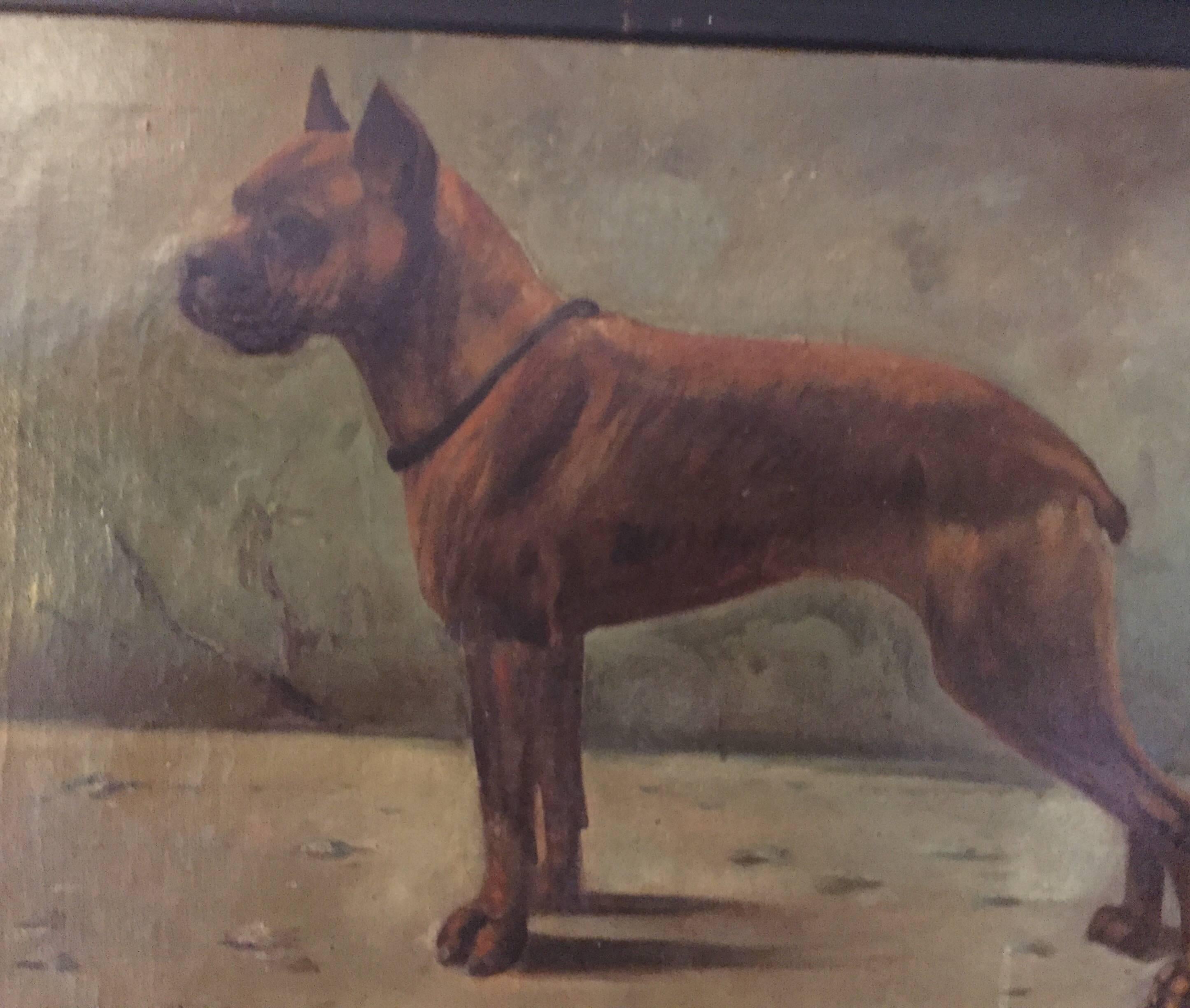 French Boxer Dog Painting by Fr Naas 1923 Oil on Canvas with Walnut Frame 5