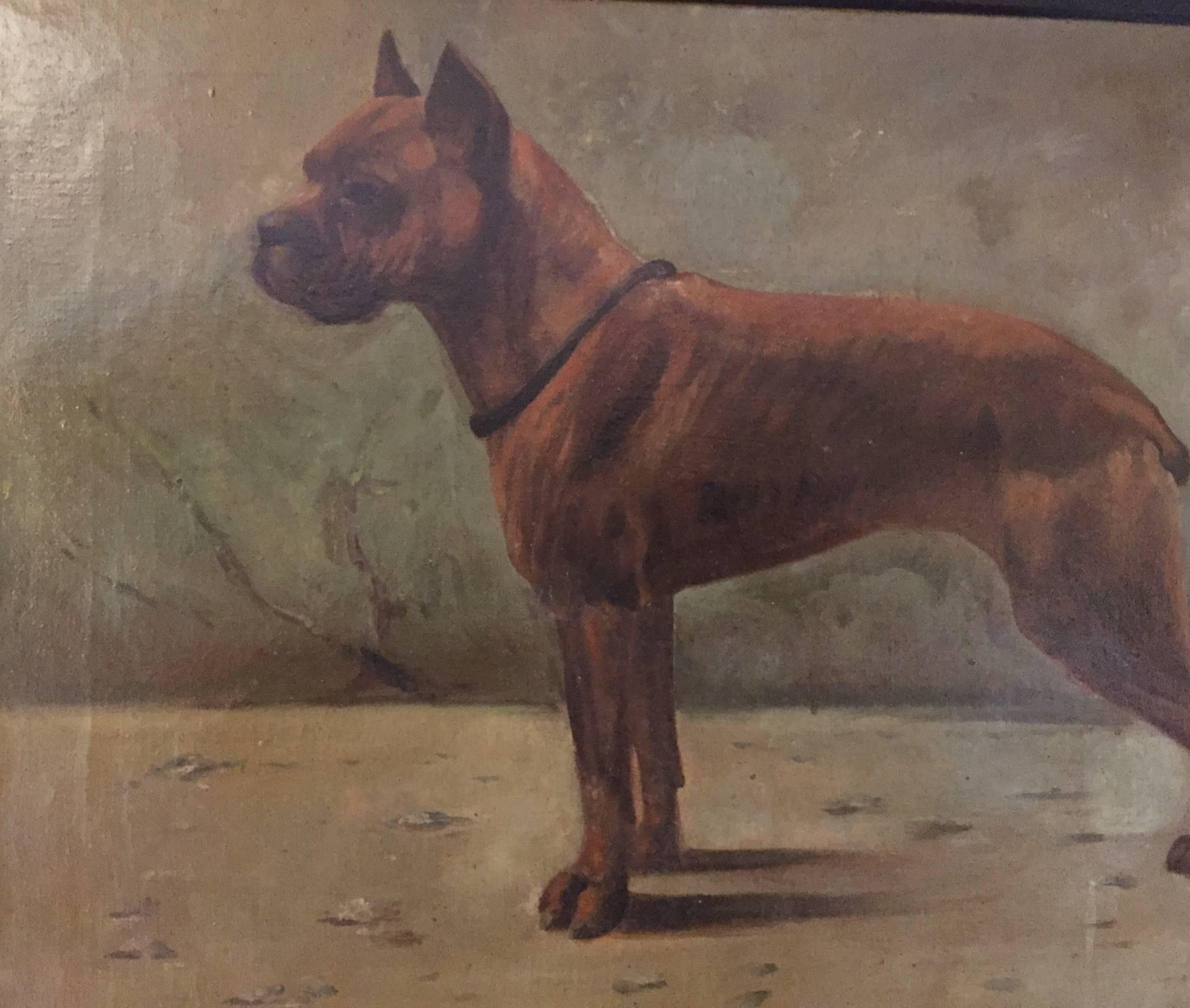 French Boxer Dog Painting by Fr Naas 1923 Oil on Canvas with Walnut Frame 6