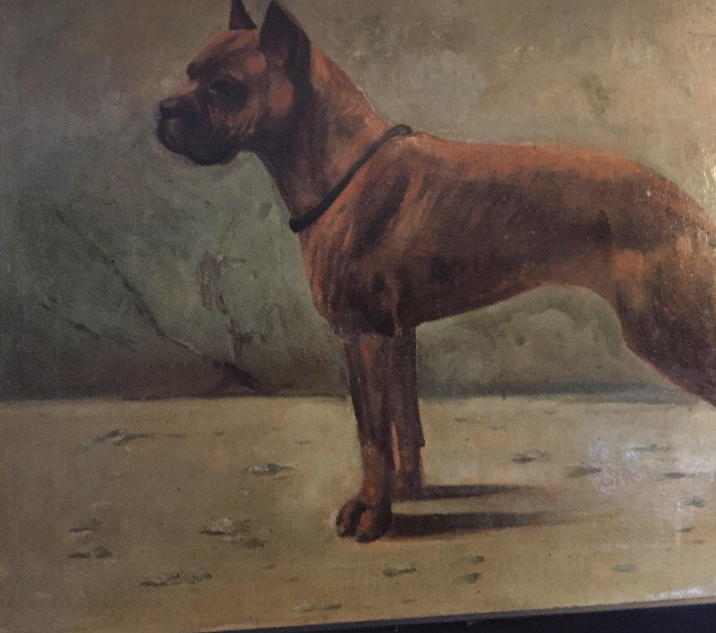 French Dog Painting of Mastiff Boxer Signed Dated Fr Naas 1923 Framed 10