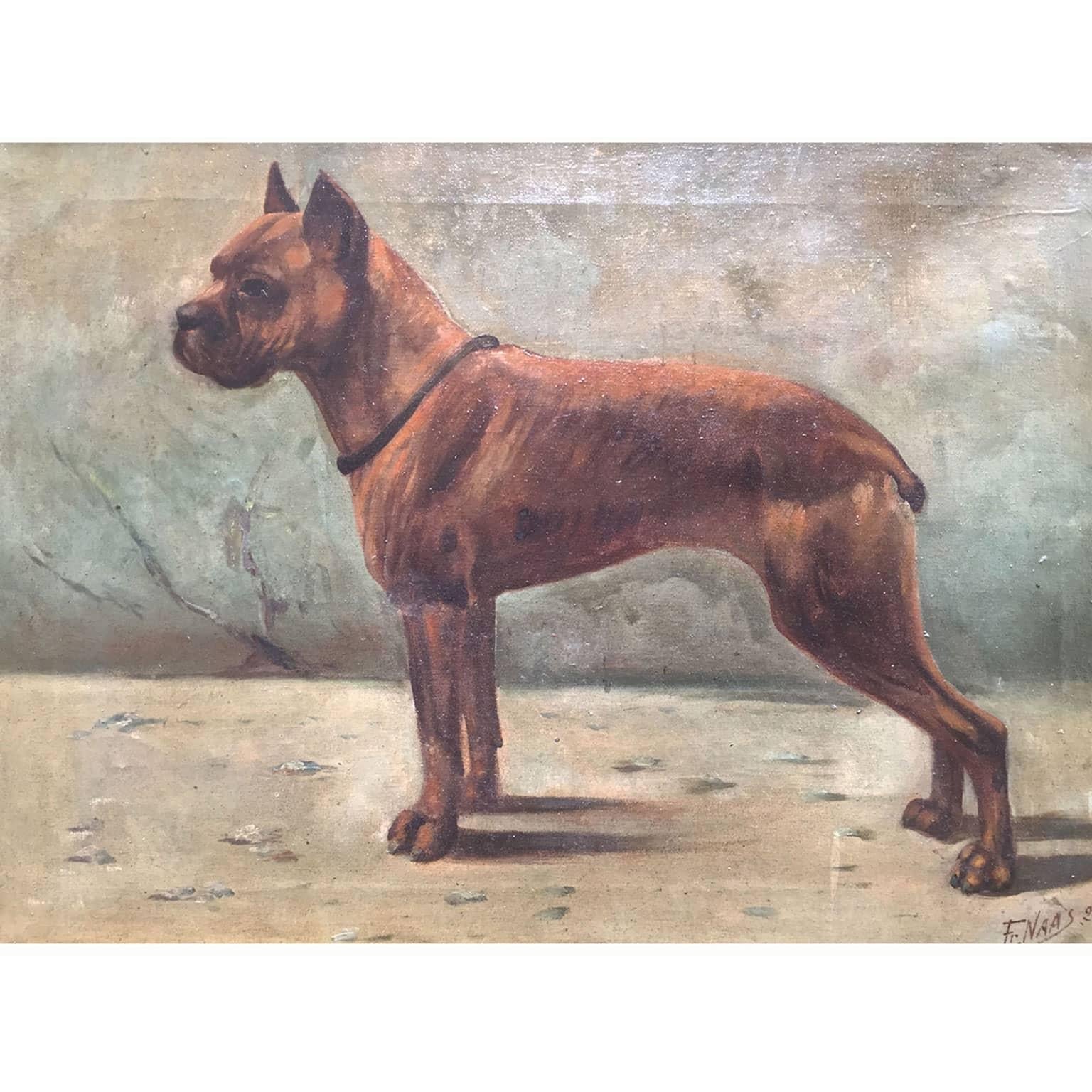 Oil painting on canvas depicting a mastiff dog, a boxer with striped and dark coat, represented standing, in profile, with the body leaning forward, watchful and threatening expression. 
Of French origin, it is signed and dated lower right Fr. Naas