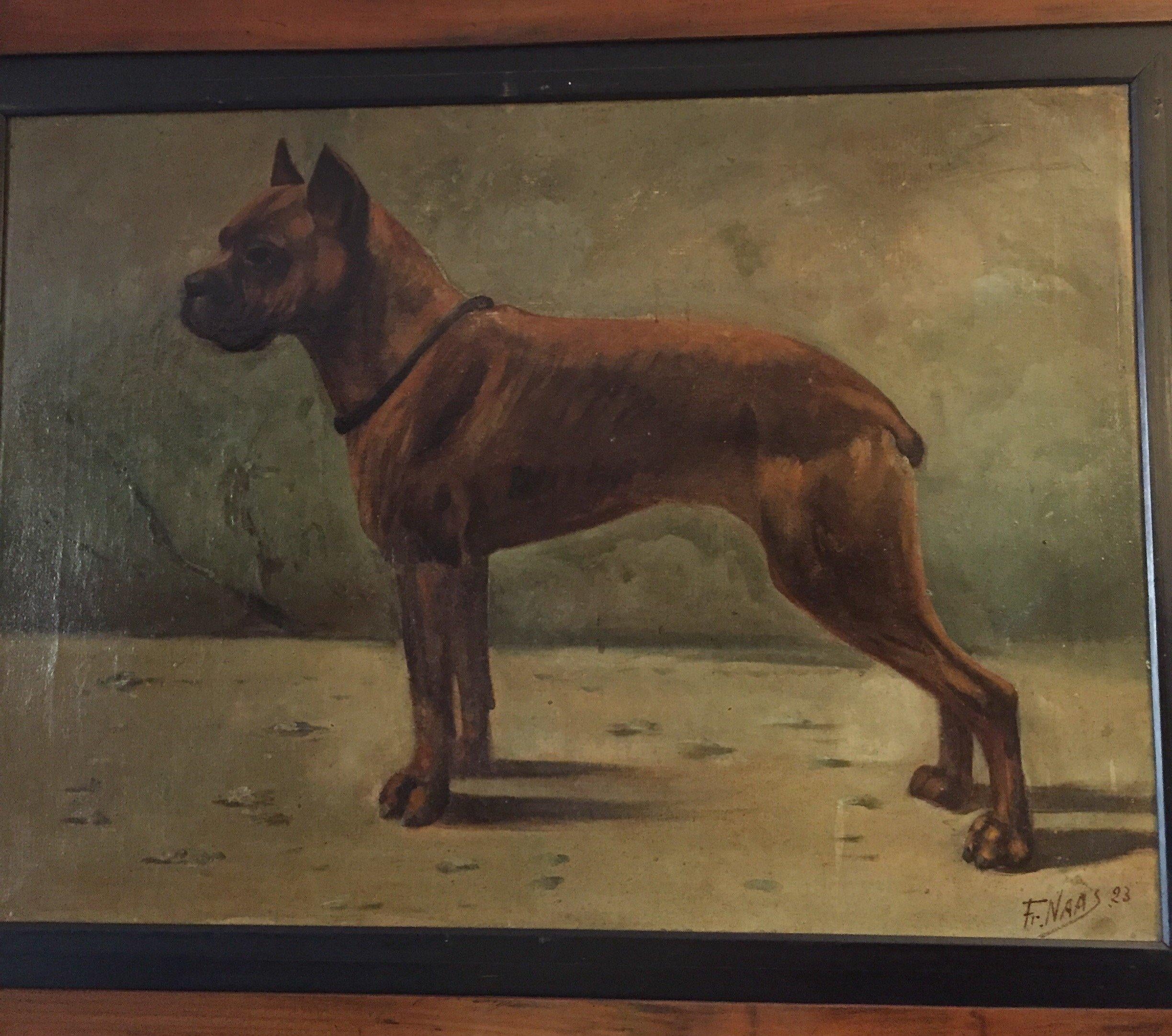 French Boxer Dog Painting by Fr Naas 1923 Oil on Canvas with Walnut Frame 11