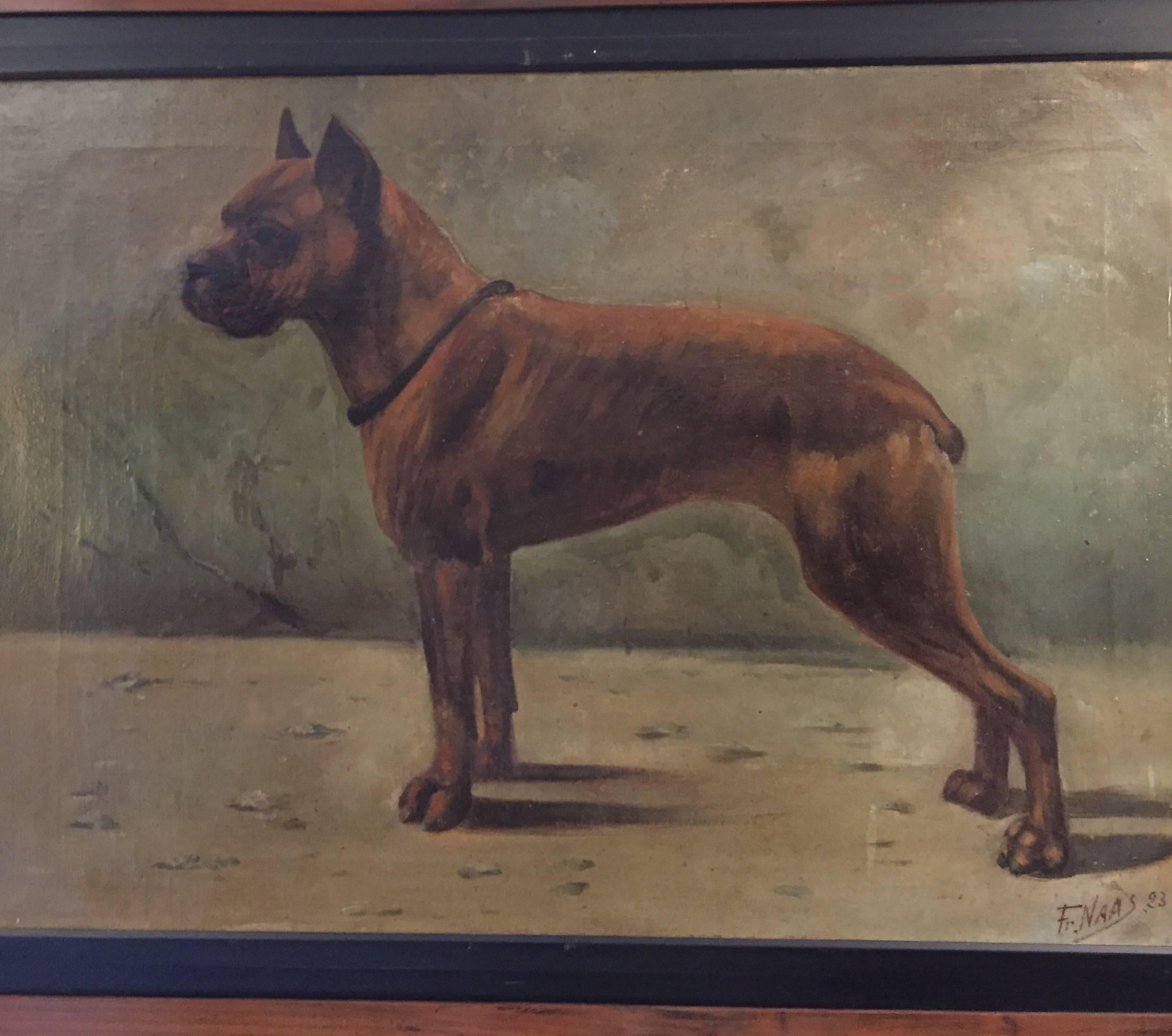 French Boxer Dog Painting by Fr Naas 1923 Oil on Canvas with Walnut Frame In Good Condition In Milan, IT