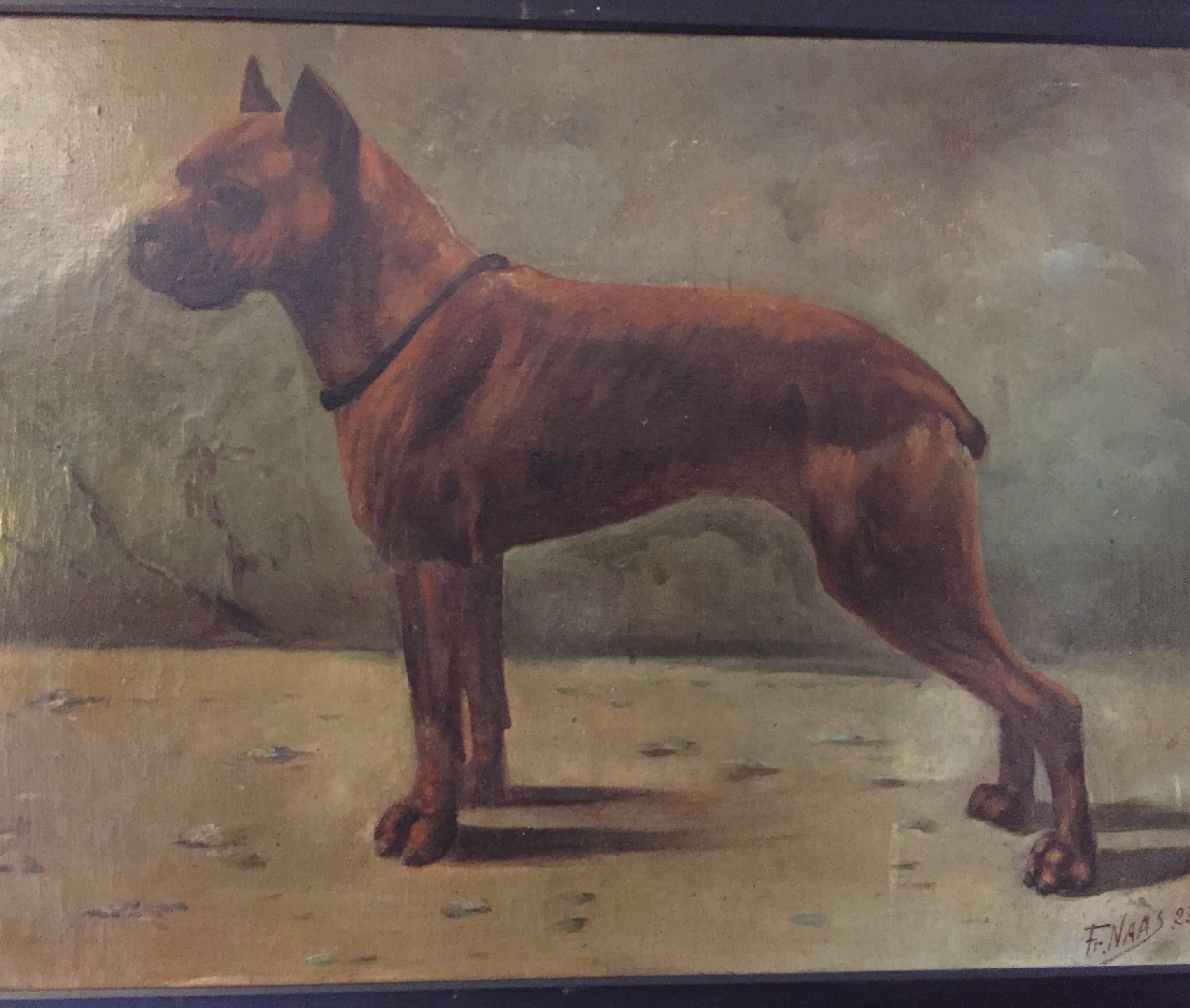 French Boxer Dog Painting by Fr Naas 1923 Oil on Canvas with Walnut Frame 1