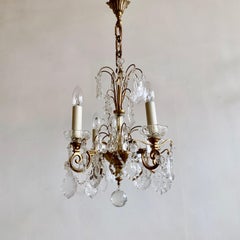 French, Brass, Louis XIV Style Chandelier with Flat Leaf Drops