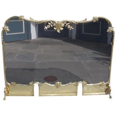 Antique French Brass Serpentine Decorative Floral and Mesh Fire Place Screen, Circa 1820