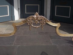 French Brass Serpentine Decorative Floral and Mesh Fire Place Screen, Circa 1860