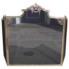 Antique French Brass Serpentine Decorative Floral and Mesh Fire Place Screen, Circa 1860