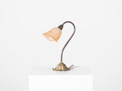 French Brass Swan Neck Desk Lamp, Mid 20th Century