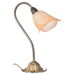 French Brass Swan Neck Desk Lamp, Mid 20th Century