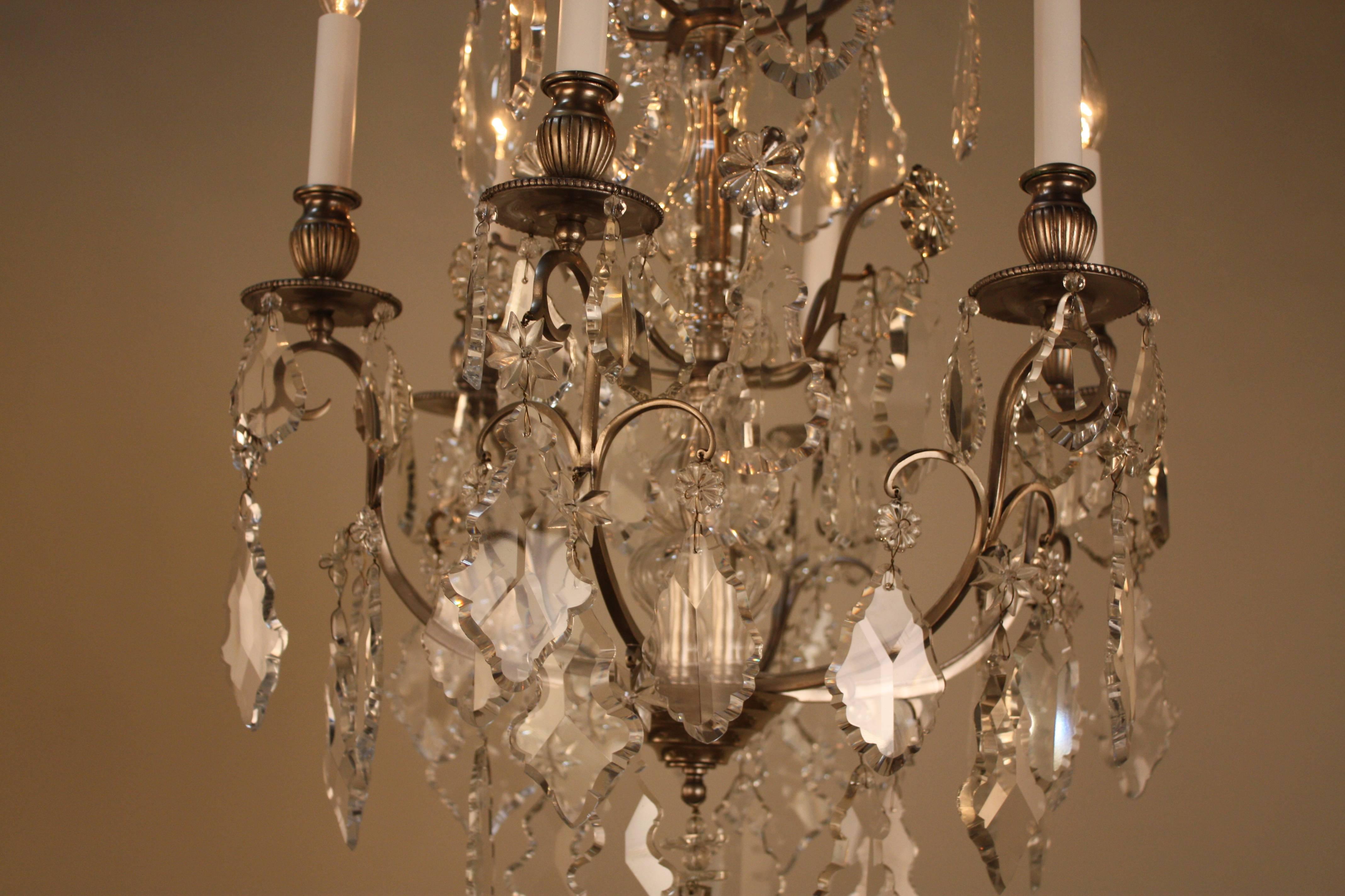 French Bronze and Crystal Chandelier 6