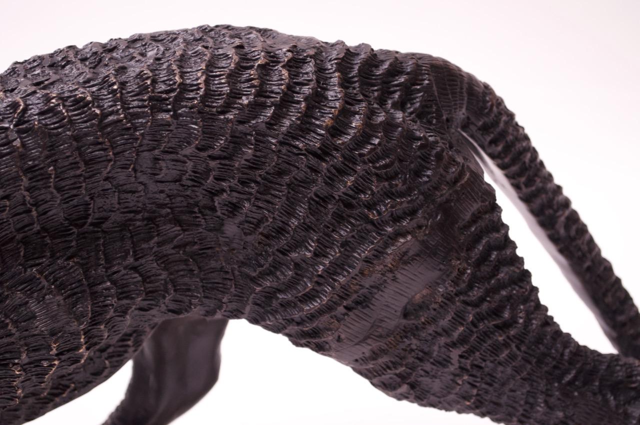 Französische schwarze Panther-Skulptur aus Bronze im Angebot 8