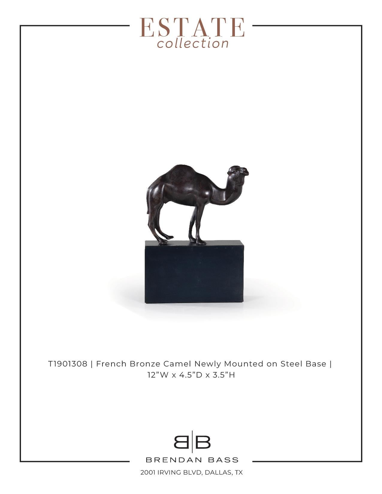 Französische Bronze-Kamelie, neu montiert auf Stahlsockel  im Zustand „Gut“ im Angebot in Dallas, TX