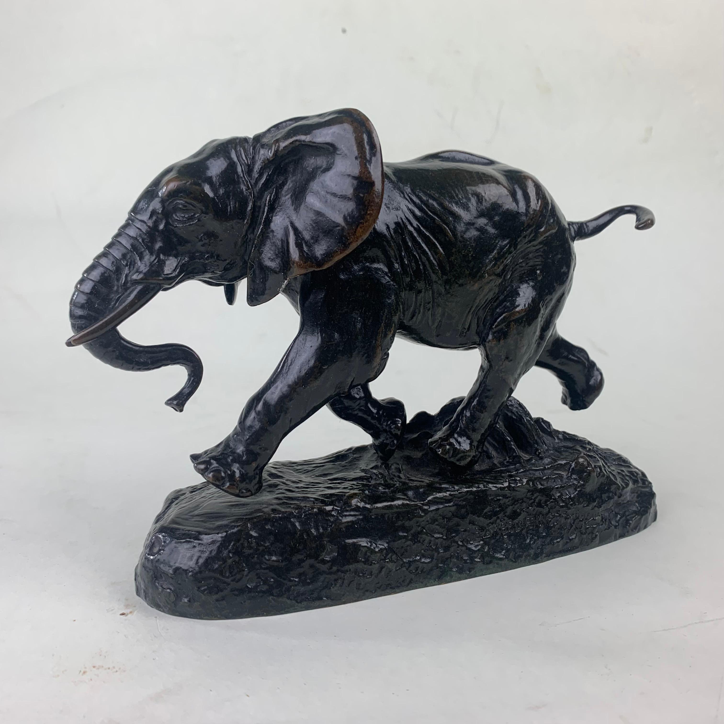 Cast French Bronze Figure 'Elephant Du Senegal' by Louis Barye
