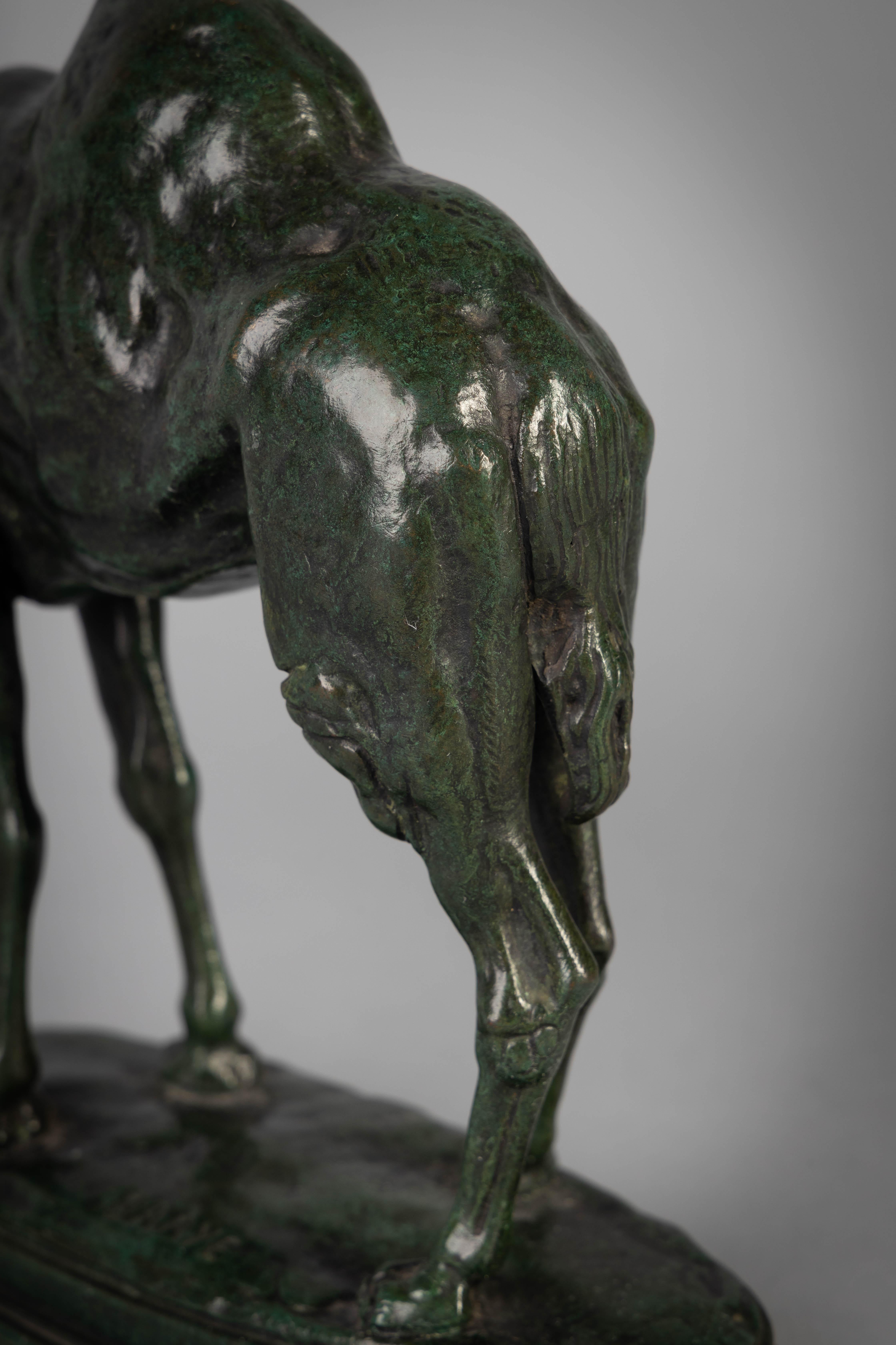 French Bronze Figure of a Camel by Antoine Louis Barye In Good Condition For Sale In New York, NY