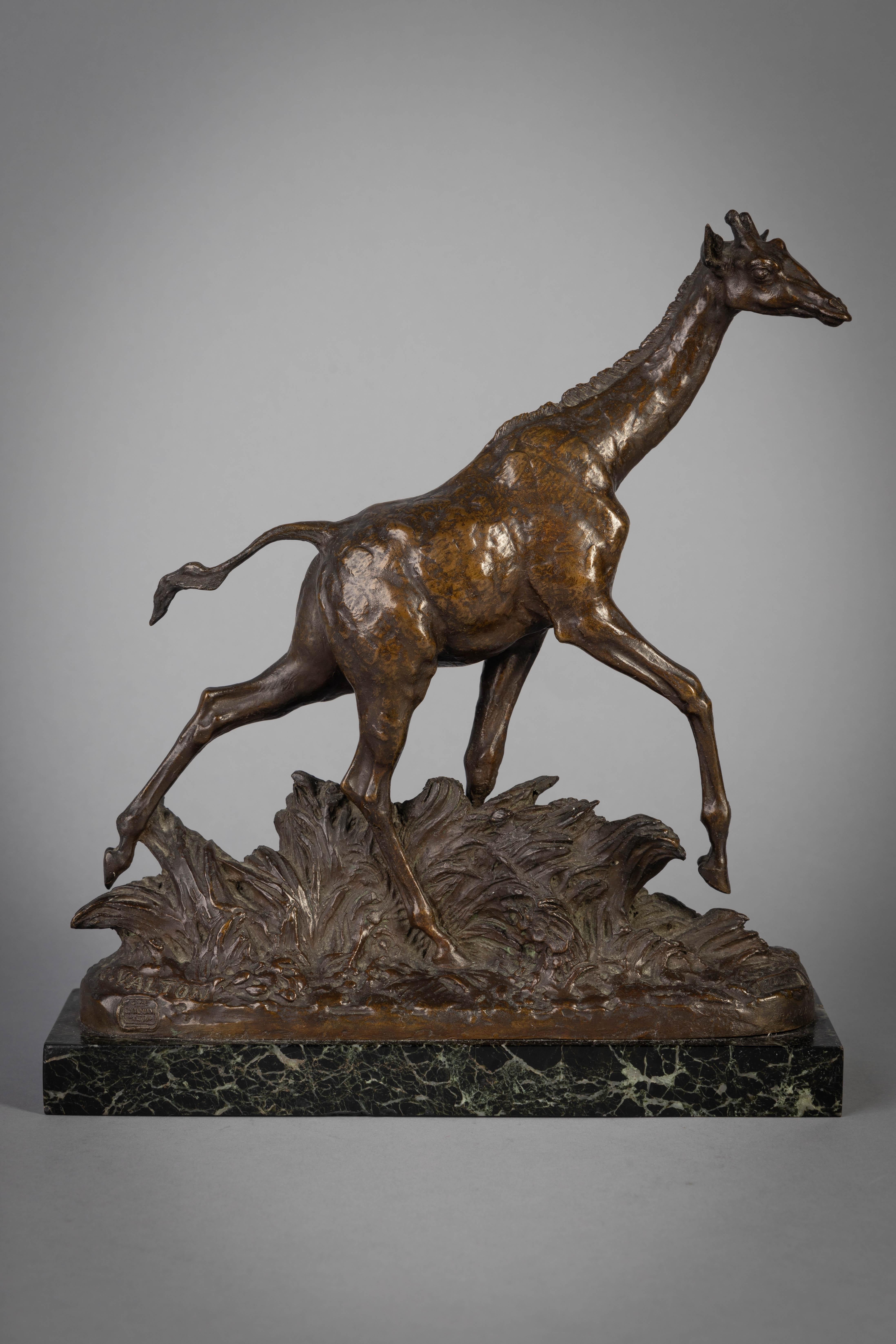 Französische Bronzefigur einer schreitenden Giraffe, von Charles Valton (1851-1918), um 1905

Bezeichnet mit C. Valton und eingeprägter Marke der Gießerei Valsuani.