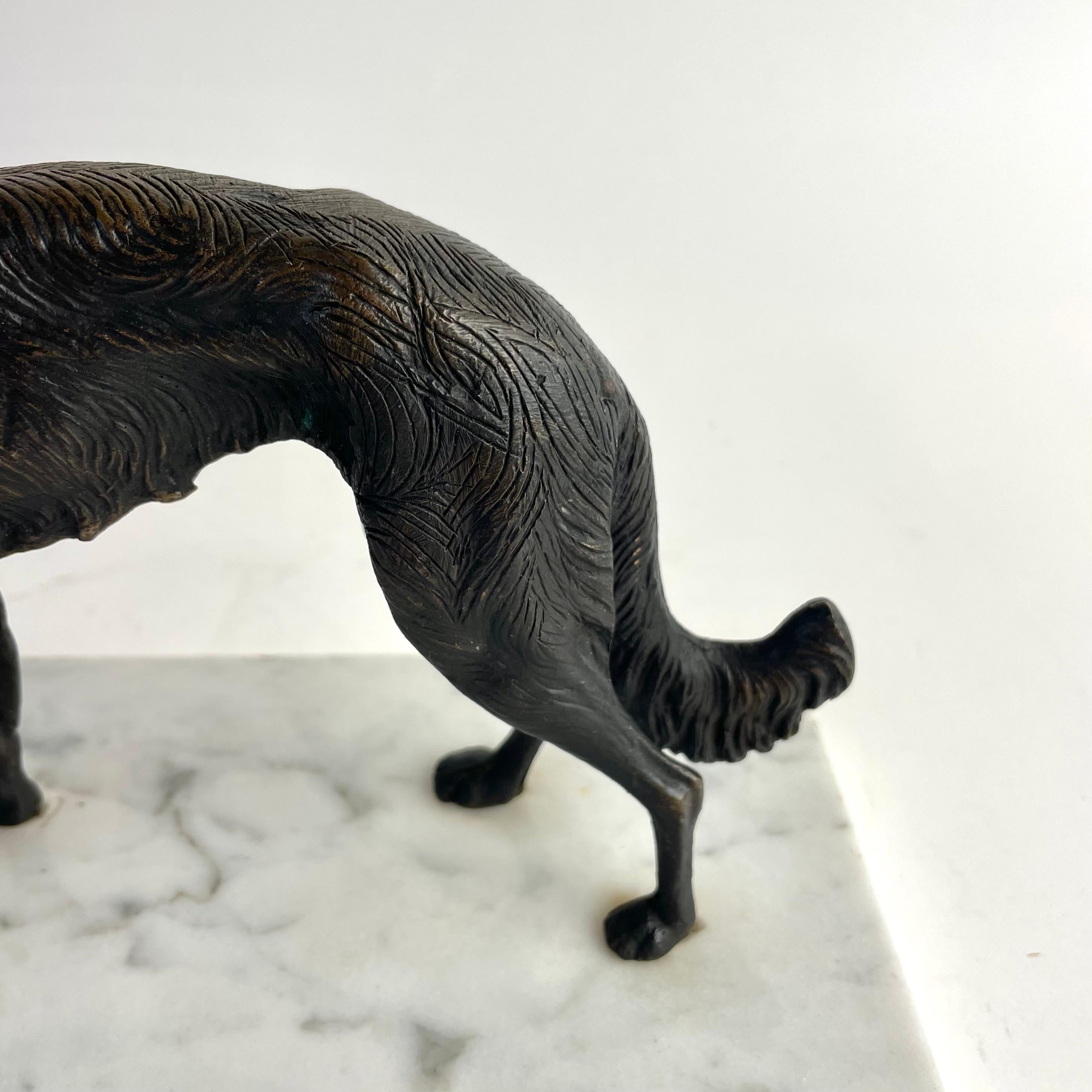 Scultura di levriero francese in bronzo su base in marmo di Carrara, inizio XX secolo in vendita 5