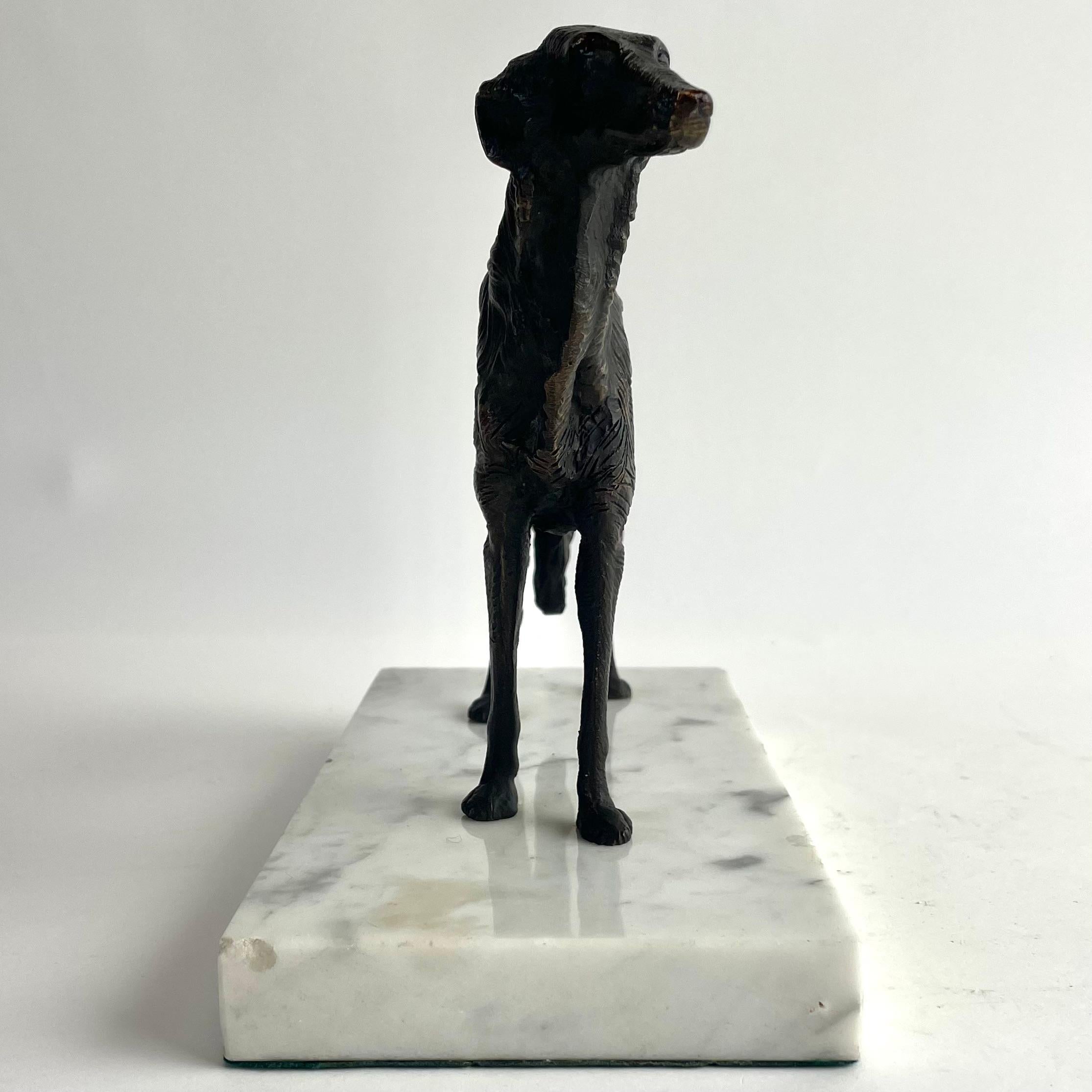 Scultura di levriero francese in bronzo su base in marmo di Carrara, inizio XX secolo in vendita 8