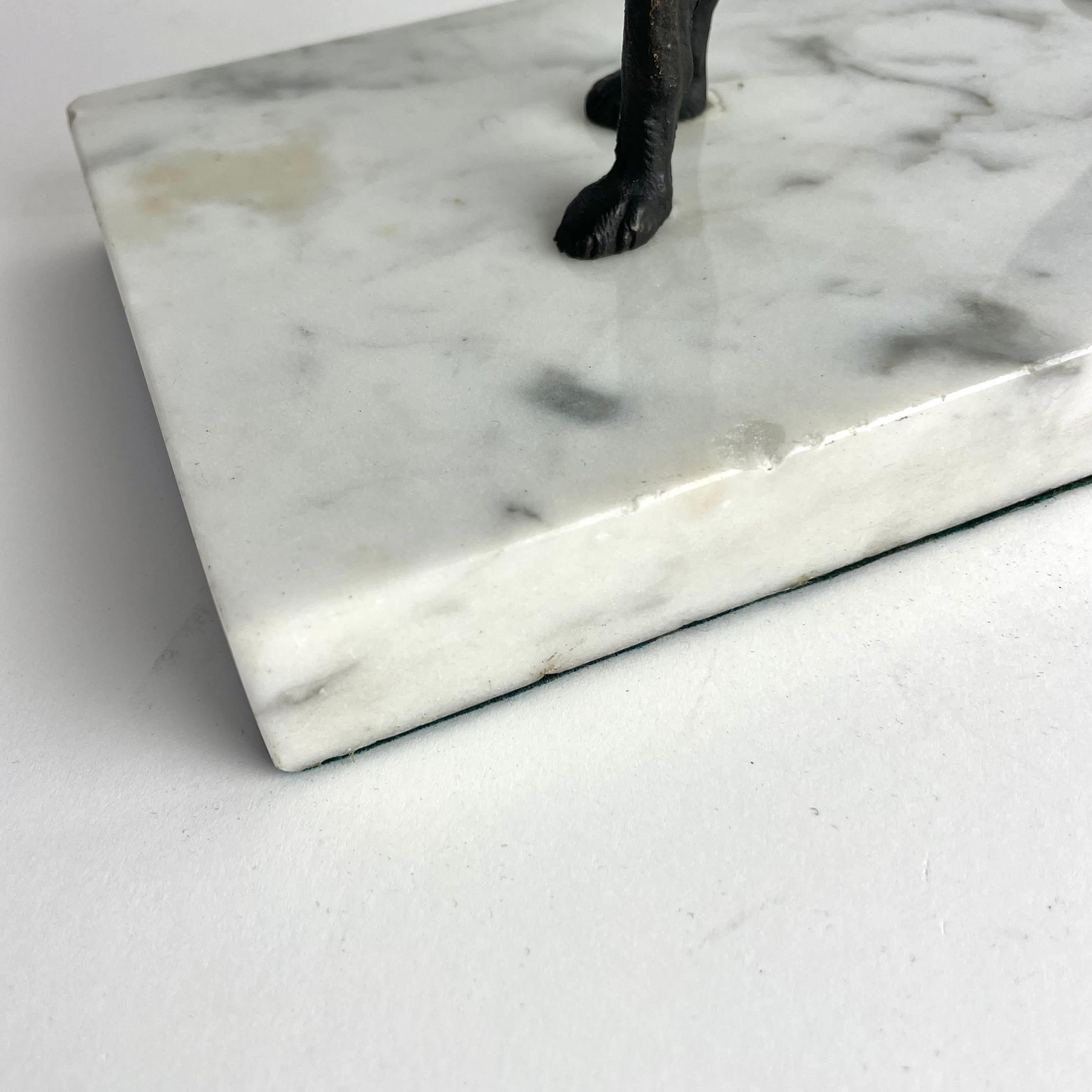 Scultura di levriero francese in bronzo su base in marmo di Carrara, inizio XX secolo in vendita 9