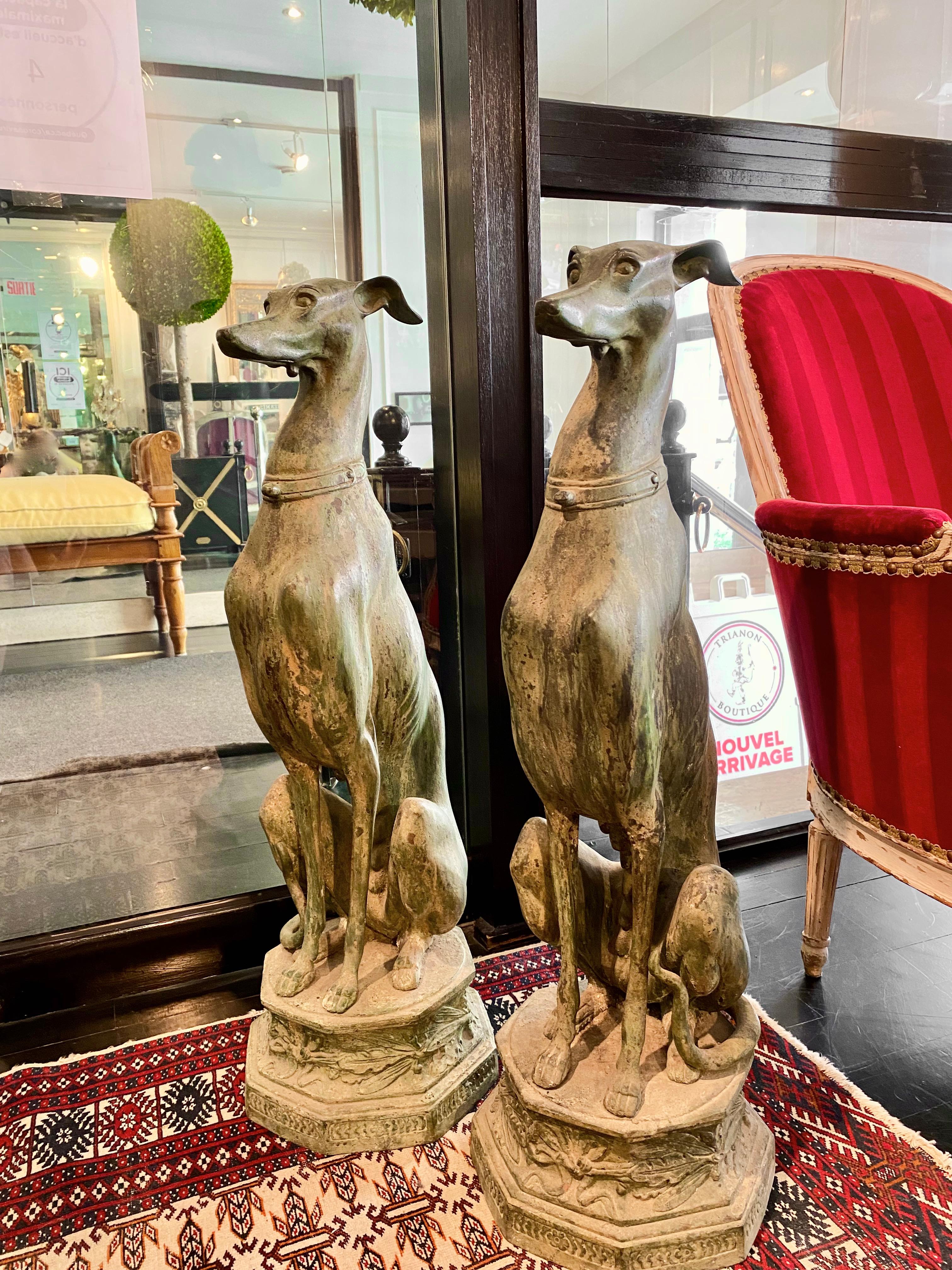 French Bronze Greyhounds, Large Pair 14
