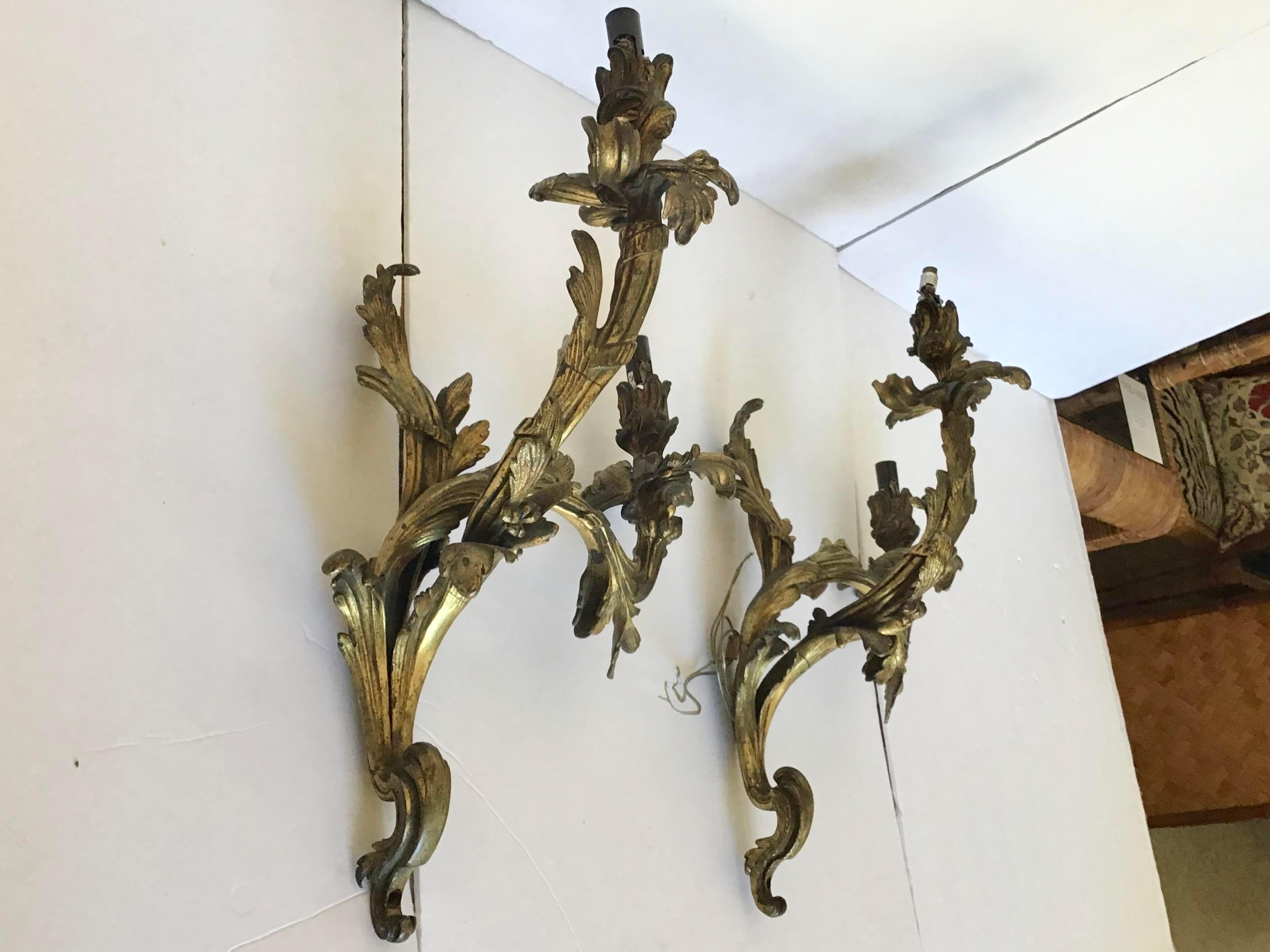 19th Century French Bronze Louis XV Wall Sconces, a Pair For Sale