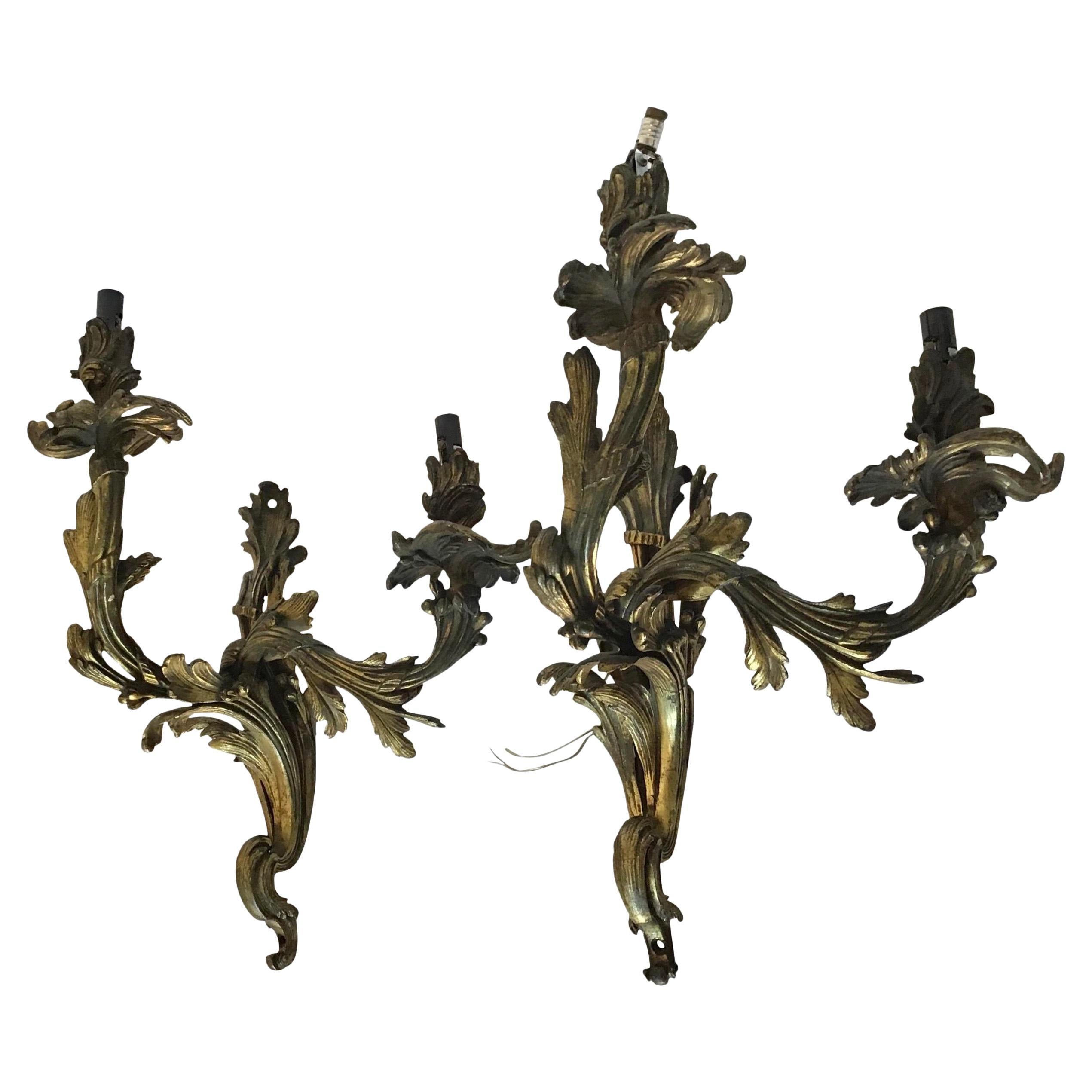 French Bronze Louis XV Wall Sconces, a Pair
