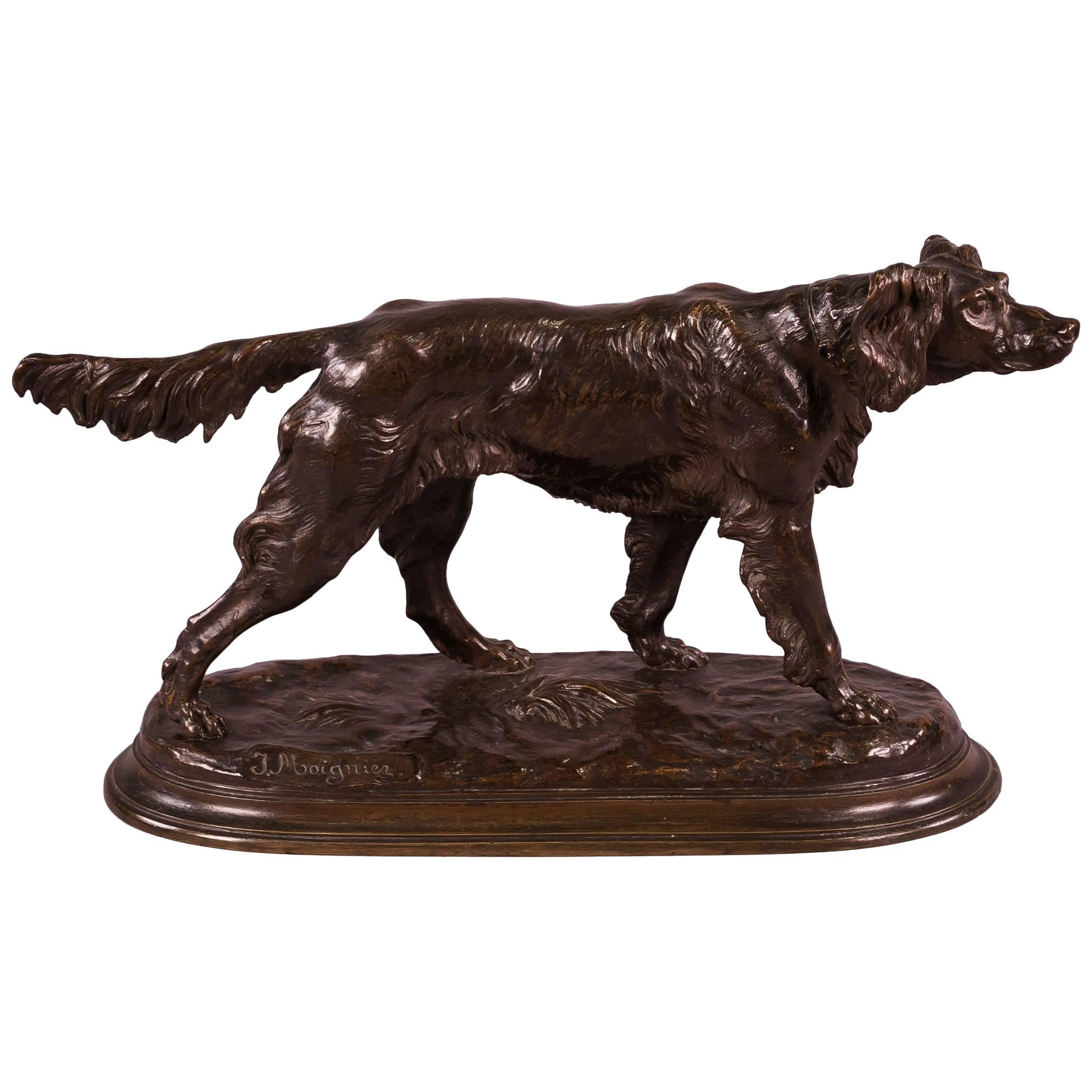 Bronze français représentant un chien « Setter », par Jules Moigniez