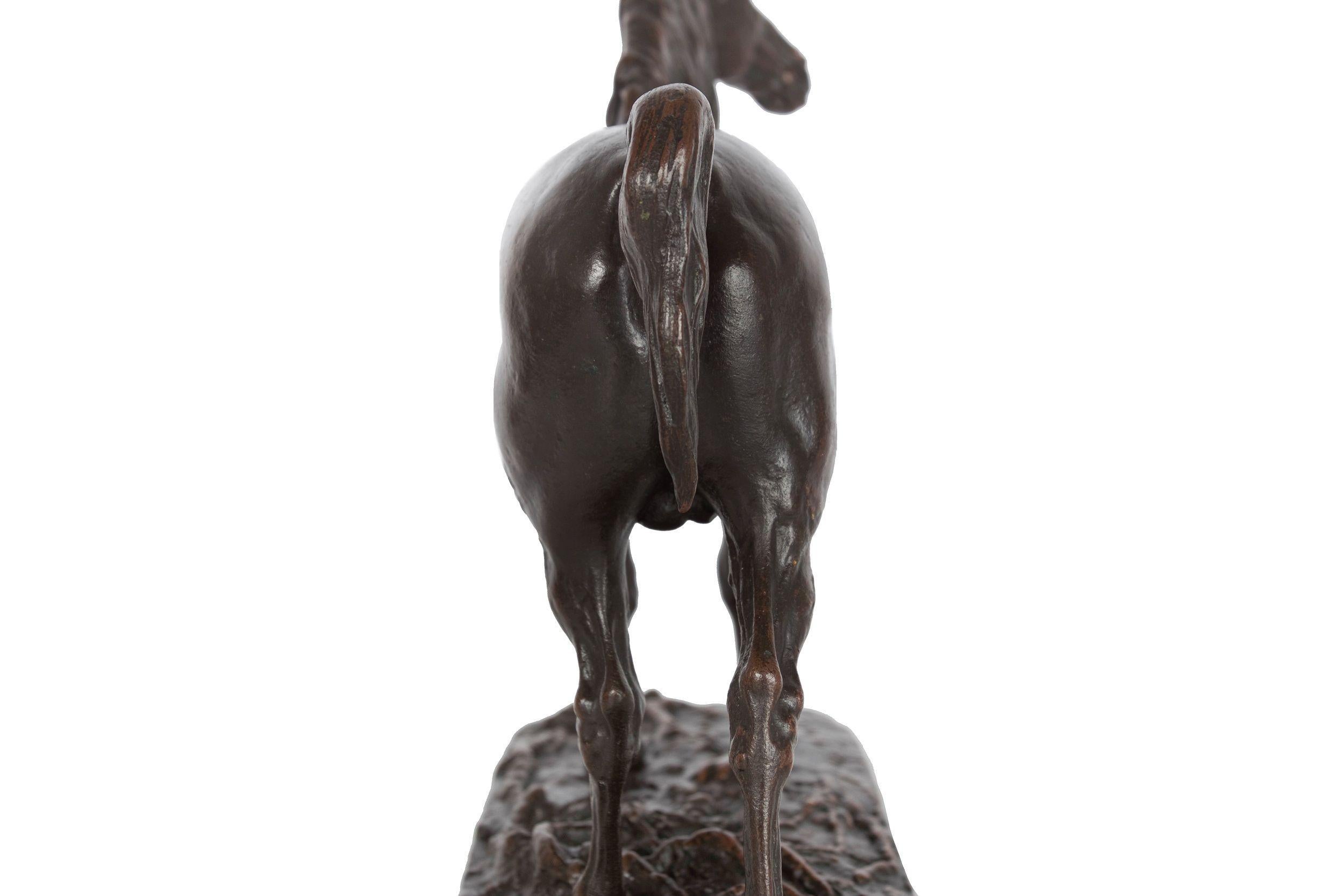 French Bronze Sculpture Egyptian Stallion Horse “Ibrahim”after Pierre Jules Mene 6