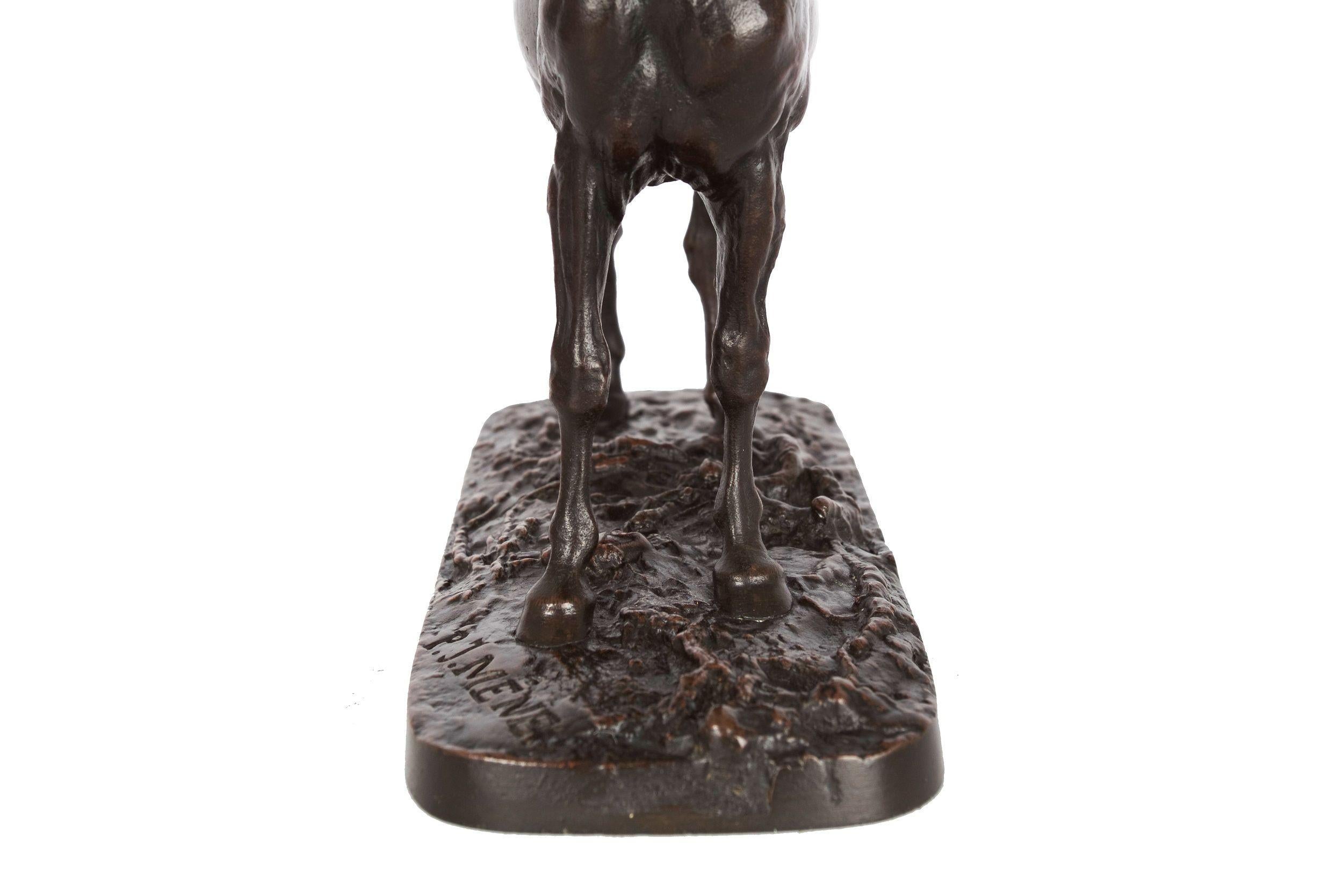 French Bronze Sculpture Egyptian Stallion Horse “Ibrahim”after Pierre Jules Mene 7