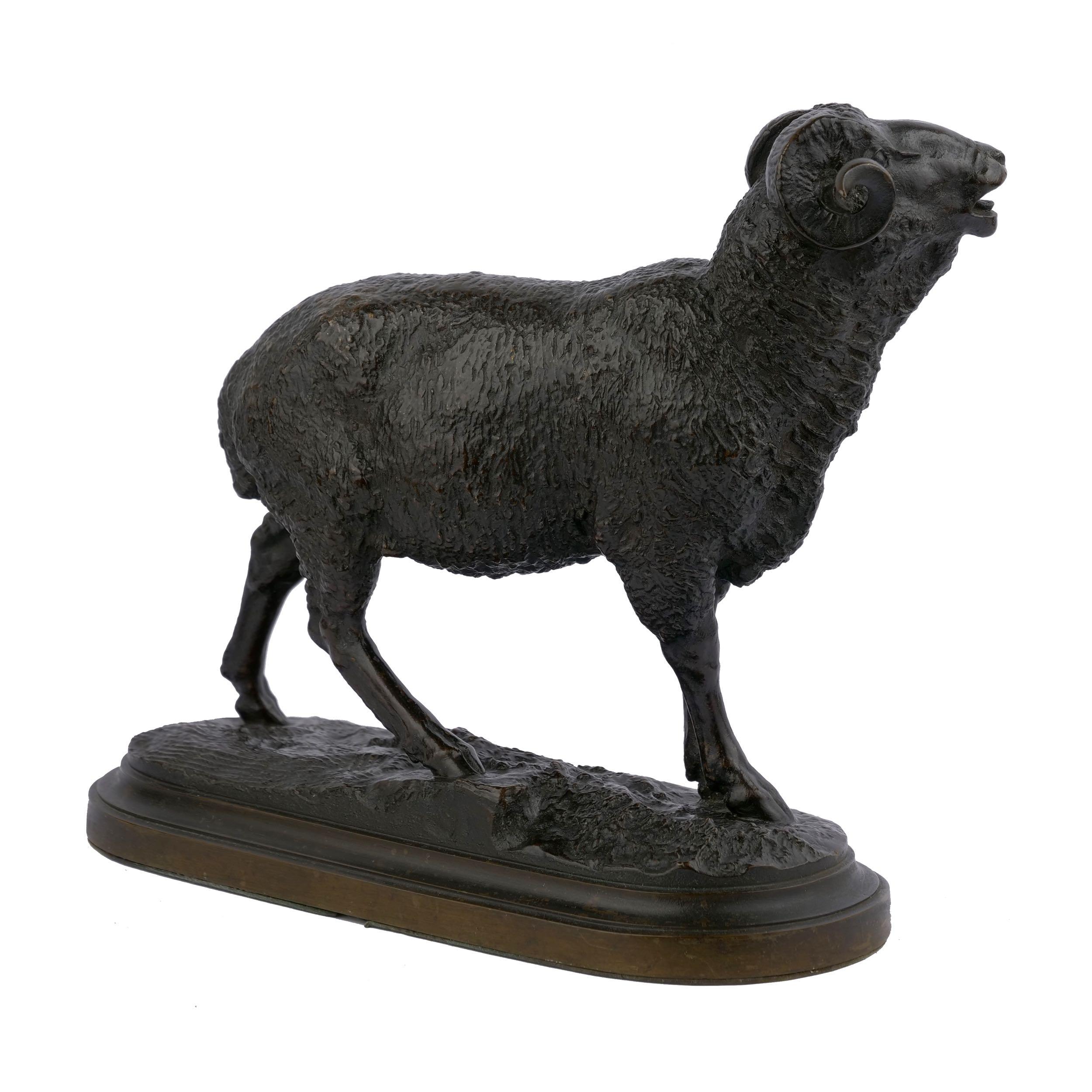 An exquisite casting of Merino Ram, our gallery handled Isidore Bonheur's other variation of this model which was a group combined as Merino Ram and Ewe. Both sculptures that made up that group were recently acquired by our shop and Merino Ewe may